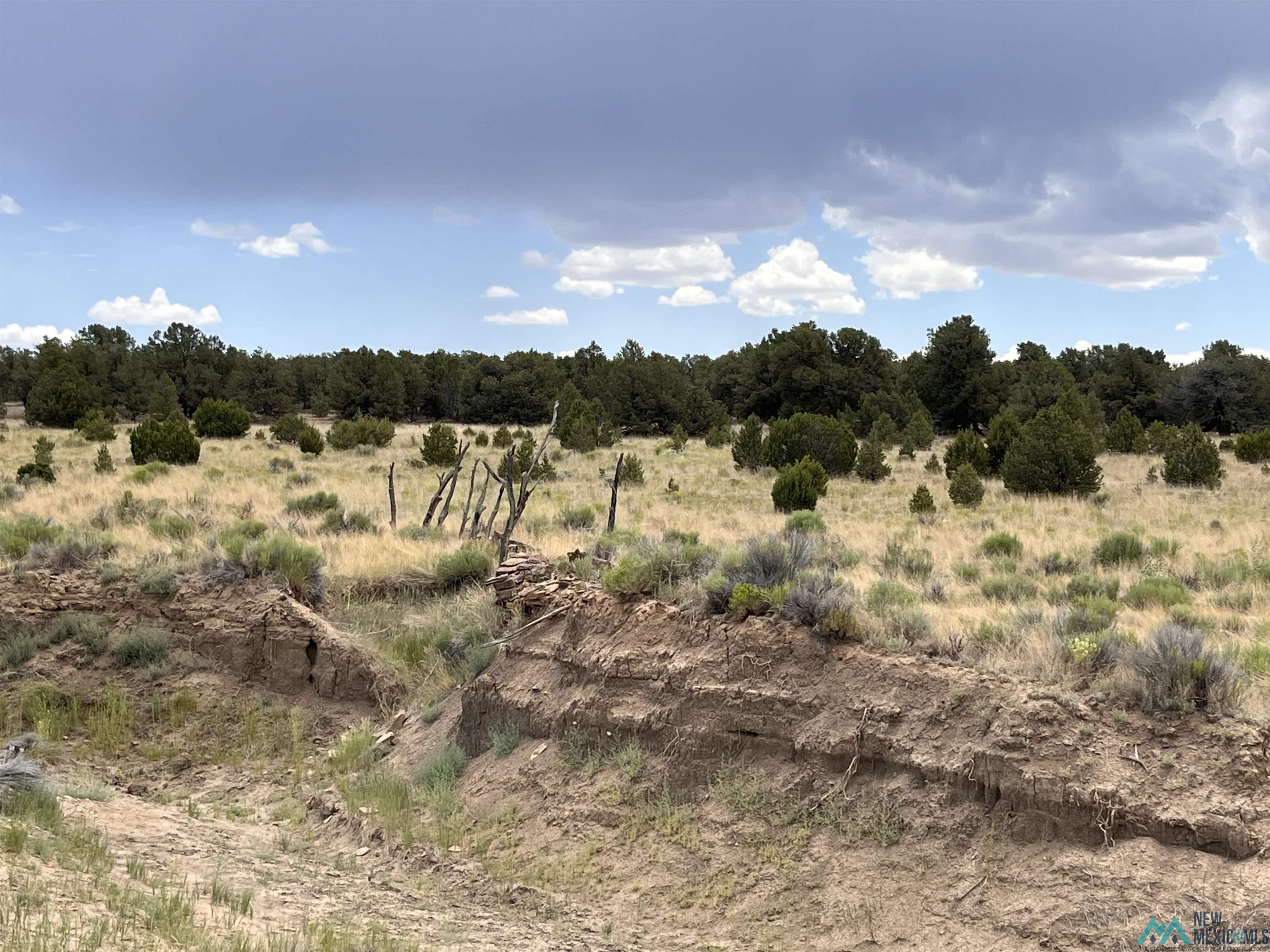 Lot 3 A&B Ponderosa Street, Pie Town, Texas image 16