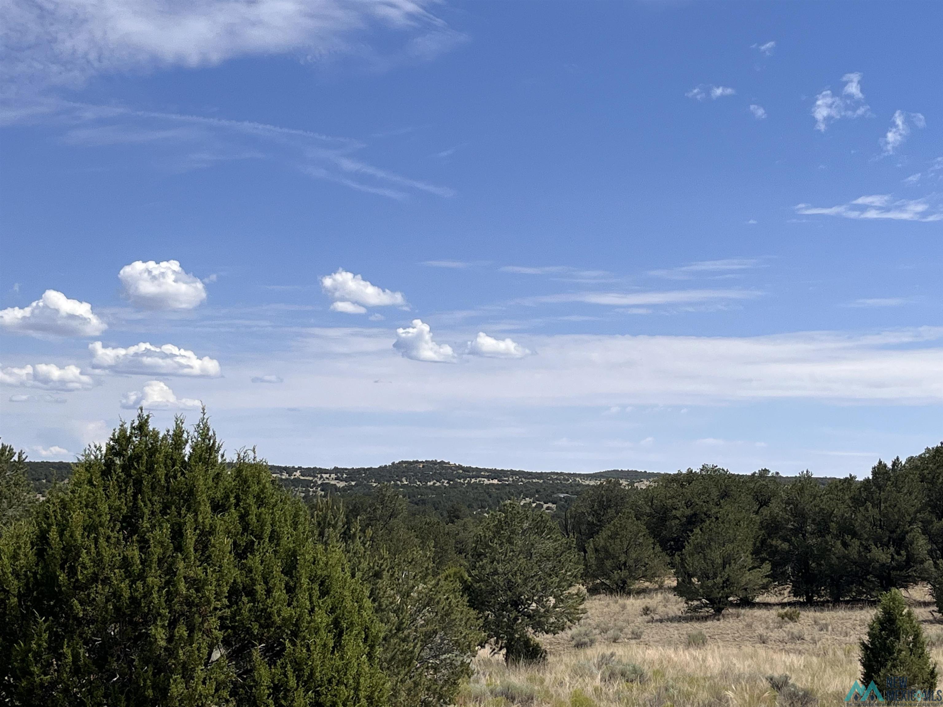 Lot 3 A&B Ponderosa Street, Pie Town, Texas image 10