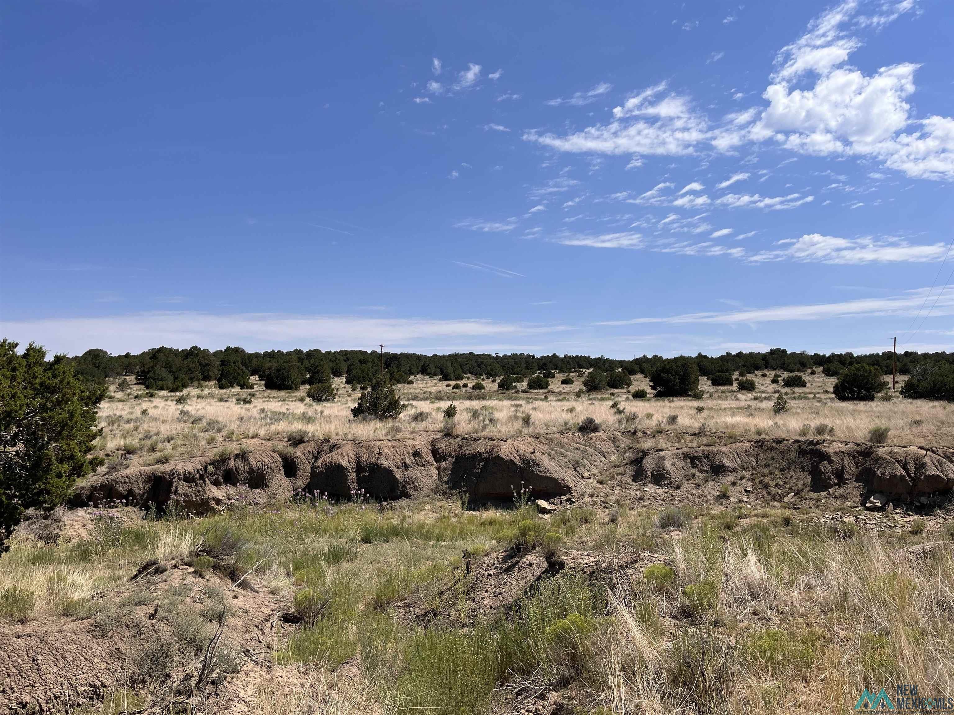 Lot 3 A&B Ponderosa Street, Pie Town, Texas image 8