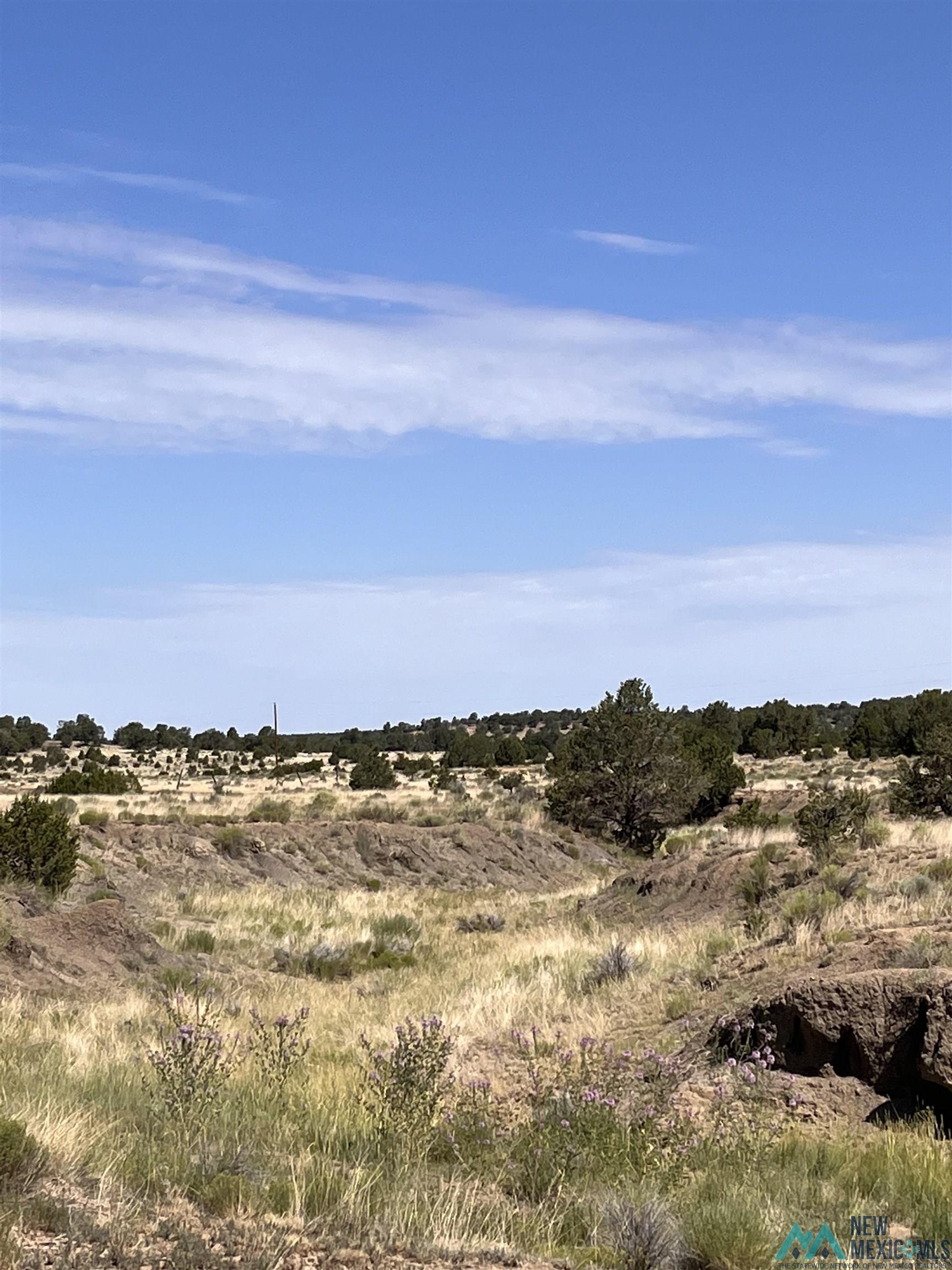 Lot 3 A&B Ponderosa Street, Pie Town, Texas image 6