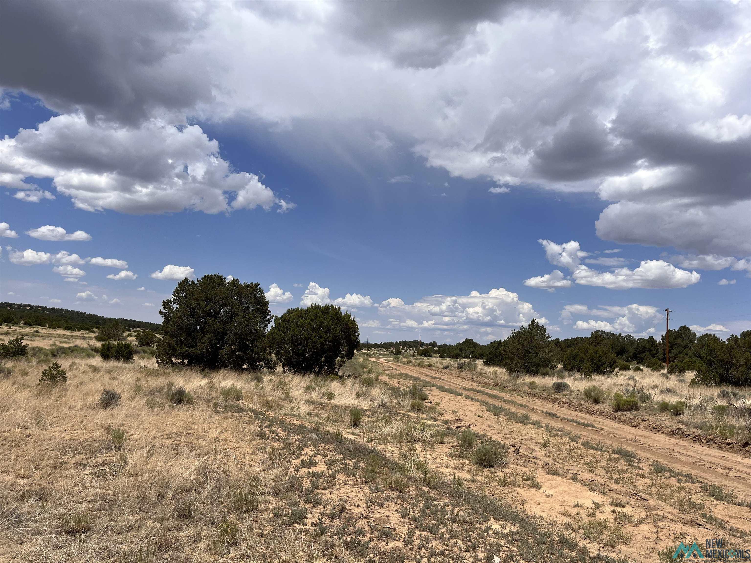 Lot 3 A&B Ponderosa Street, Pie Town, Texas image 13