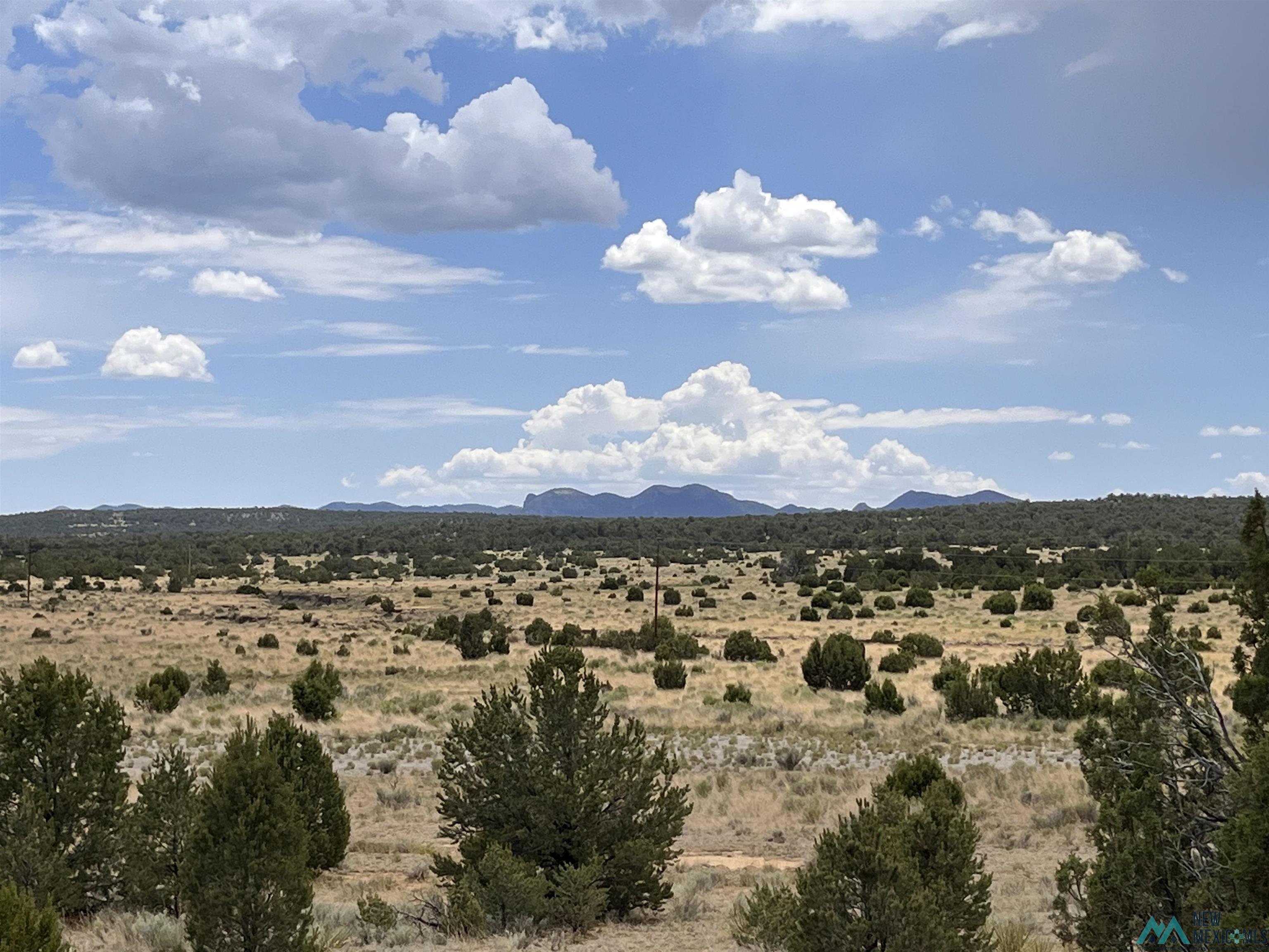 Lot 3 A&B Ponderosa Street, Pie Town, Texas image 17