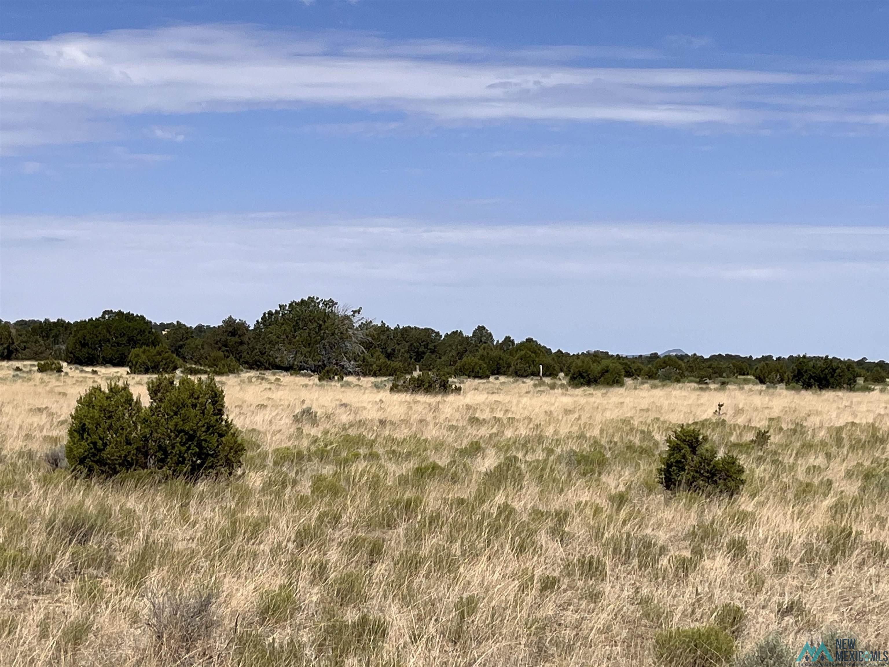 Lot 3 A&B Ponderosa Street, Pie Town, Texas image 9