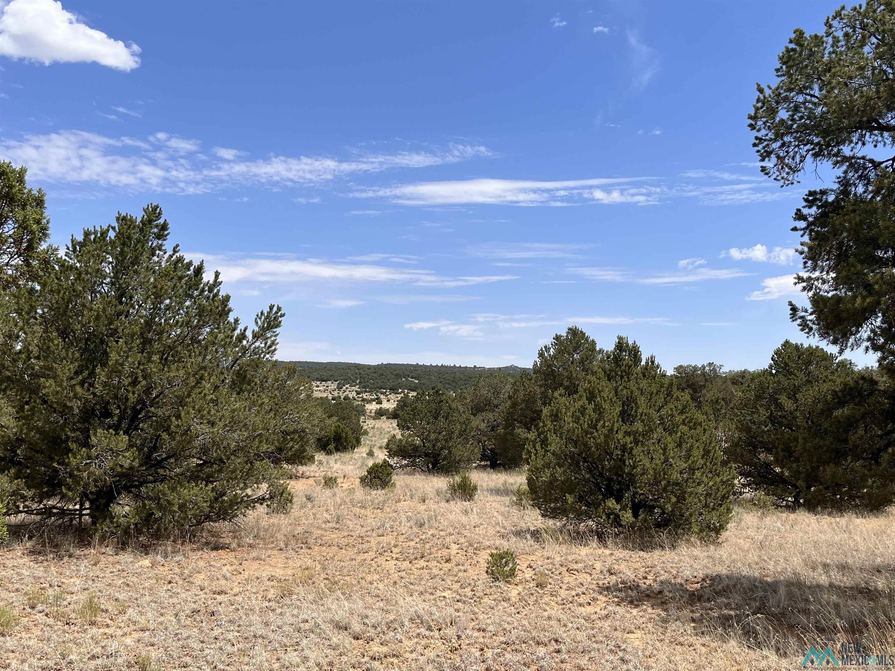 Lot 3 A&B Ponderosa Street, Pie Town, Texas image 14