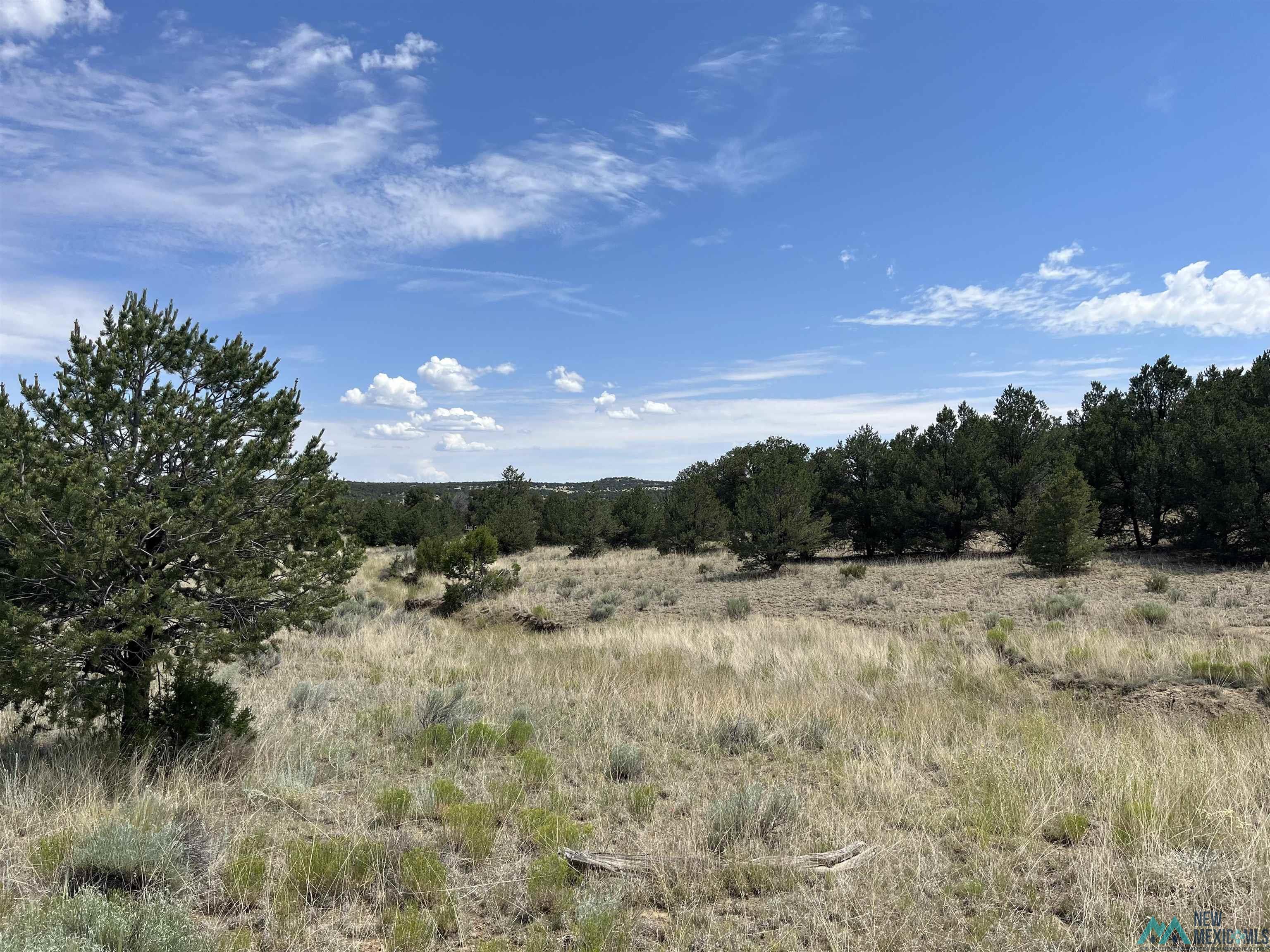 Lot 3 A&B Ponderosa Street, Pie Town, Texas image 11