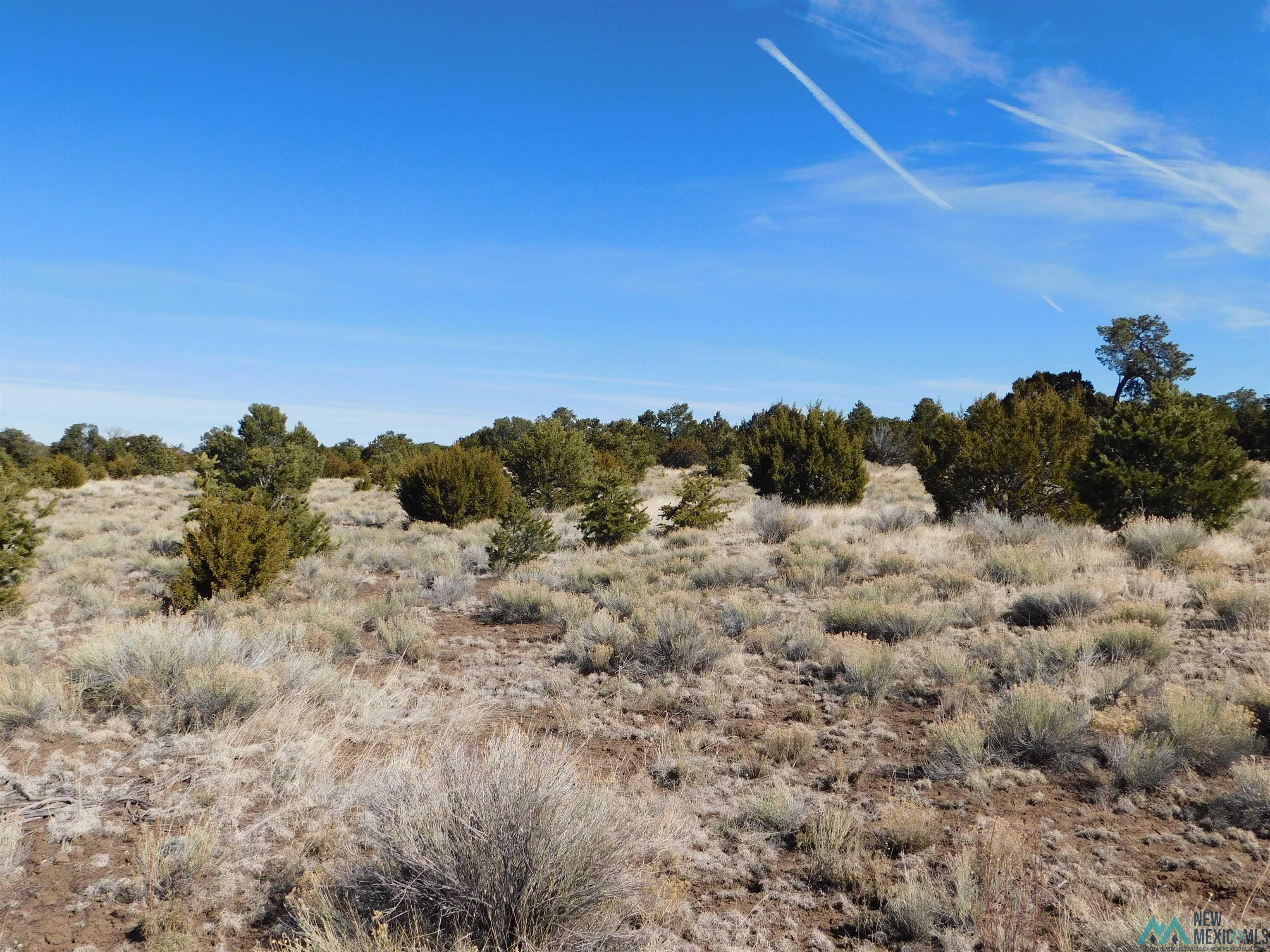 LOT 38A Agua Fria Loop, Quemado, Texas image 12