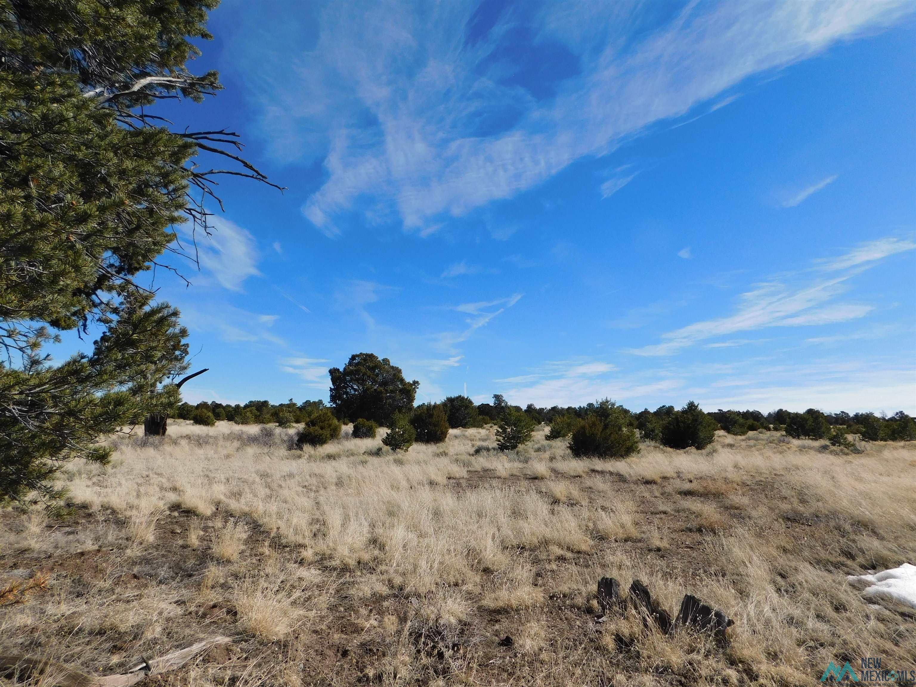 LOT 38A Agua Fria Loop, Quemado, Texas image 3