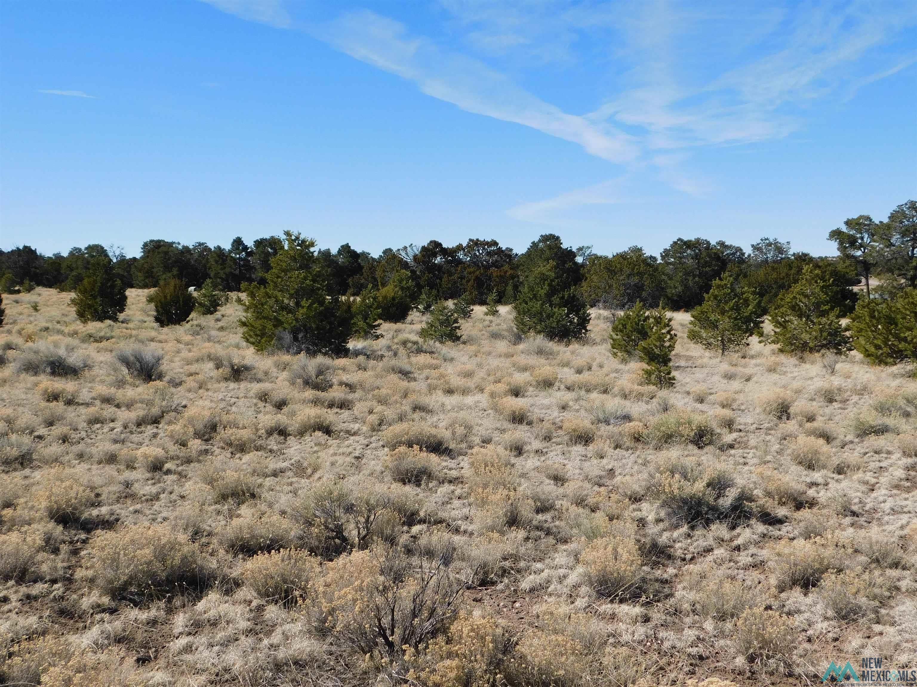 LOT 38A Agua Fria Loop, Quemado, Texas image 4