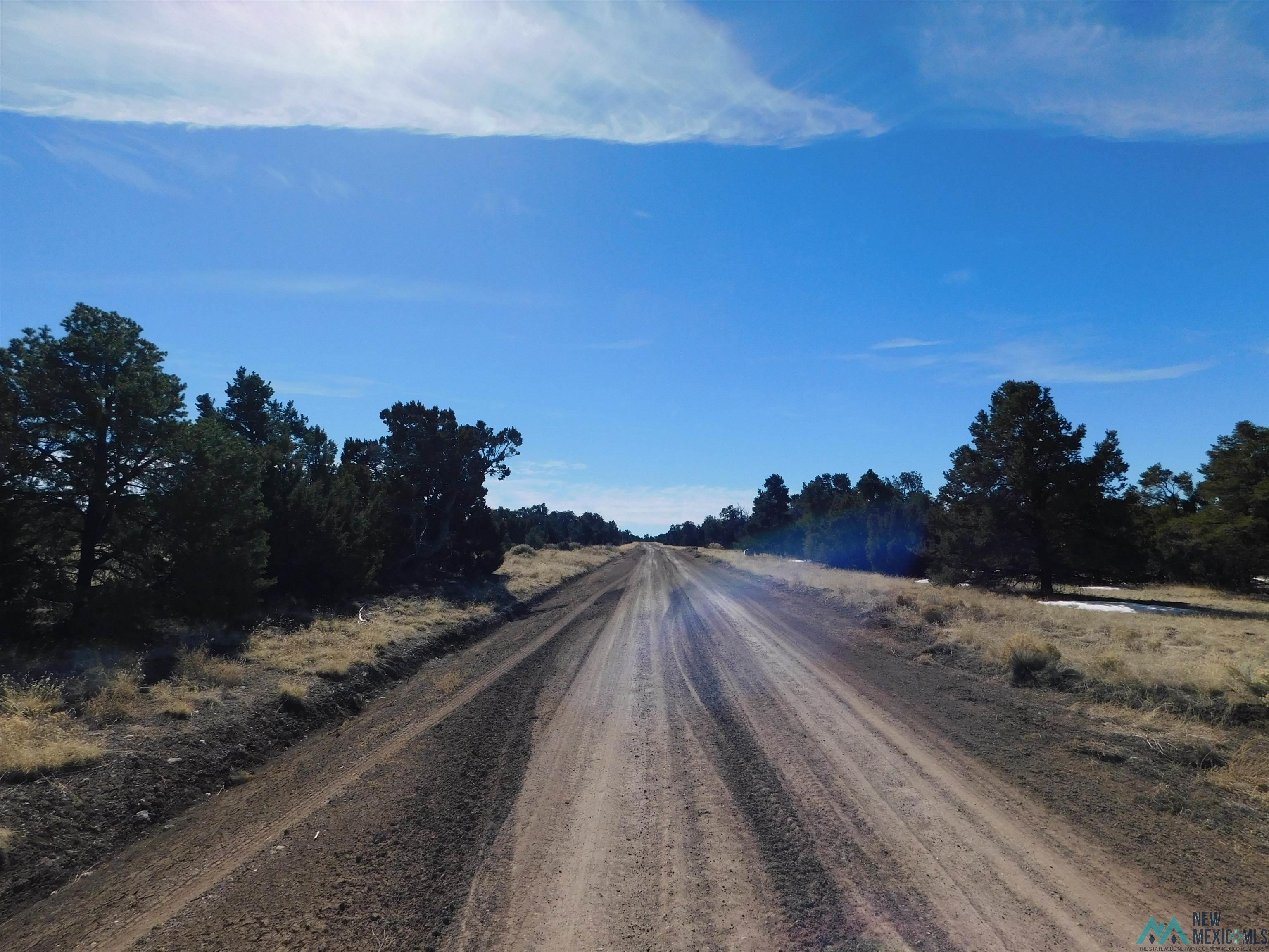 LOT 38A Agua Fria Loop, Quemado, Texas image 15