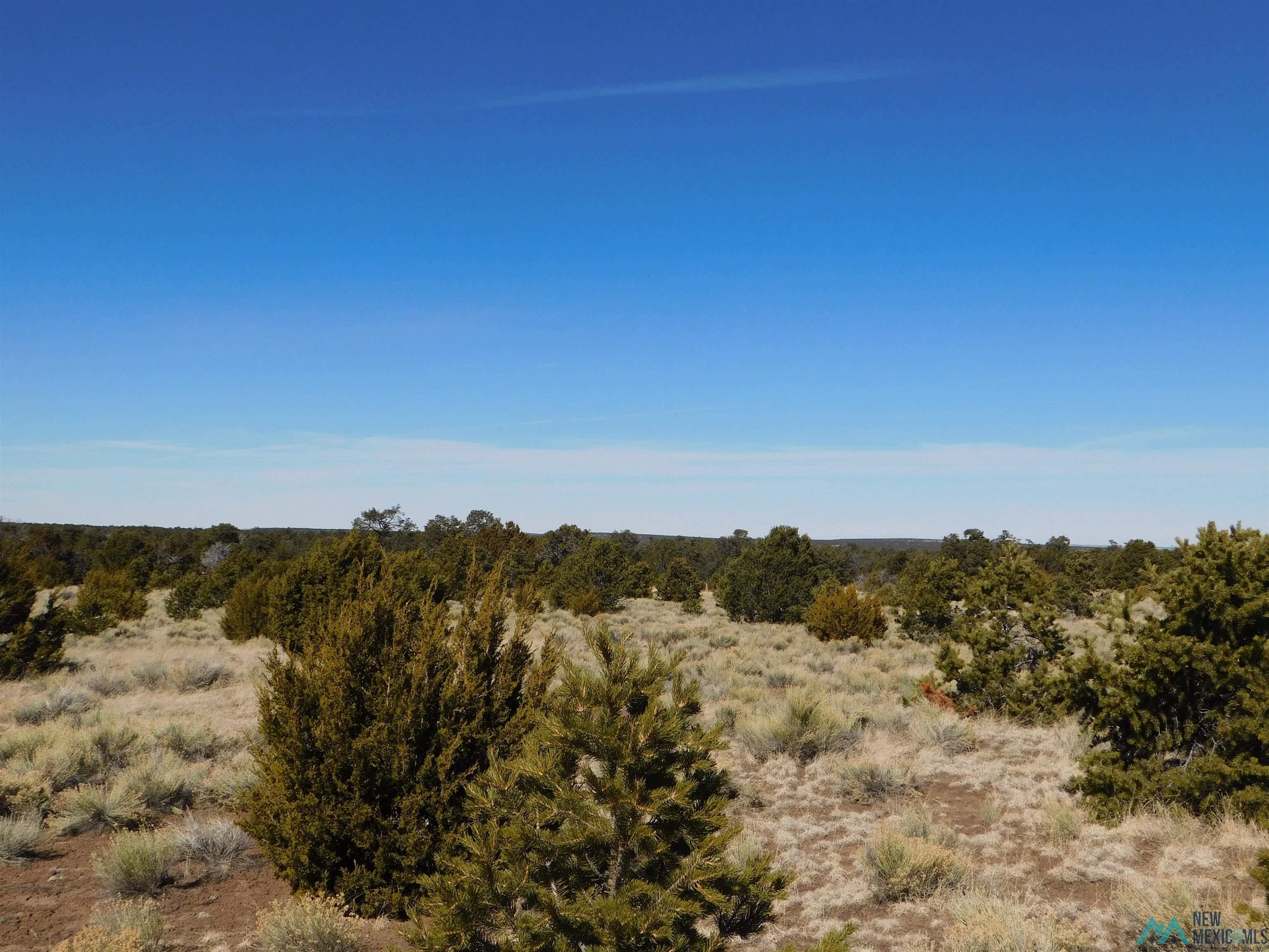 LOT 38A Agua Fria Loop, Quemado, Texas image 13