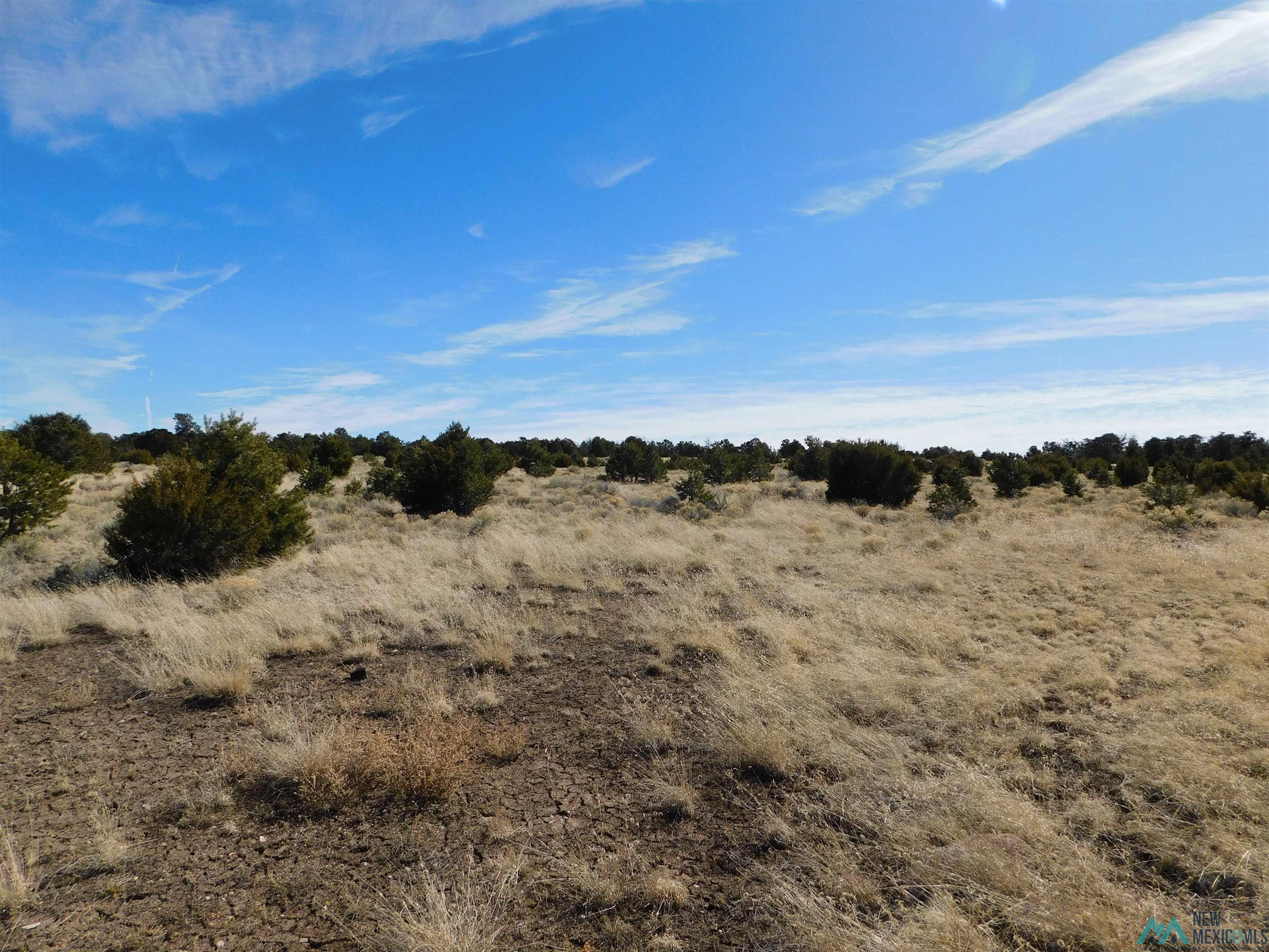 LOT 38A Agua Fria Loop, Quemado, Texas image 14