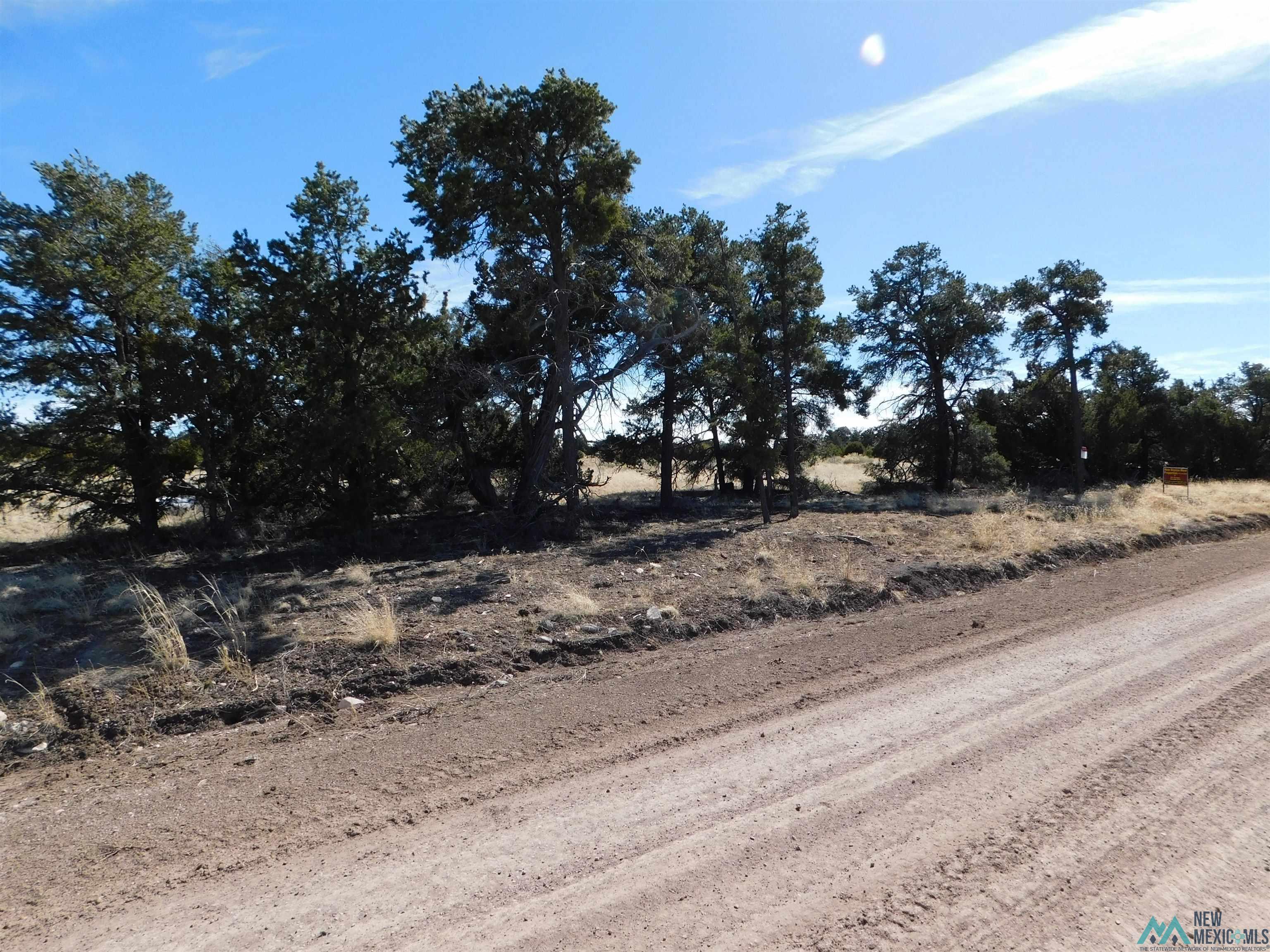 LOT 38A Agua Fria Loop, Quemado, Texas image 2