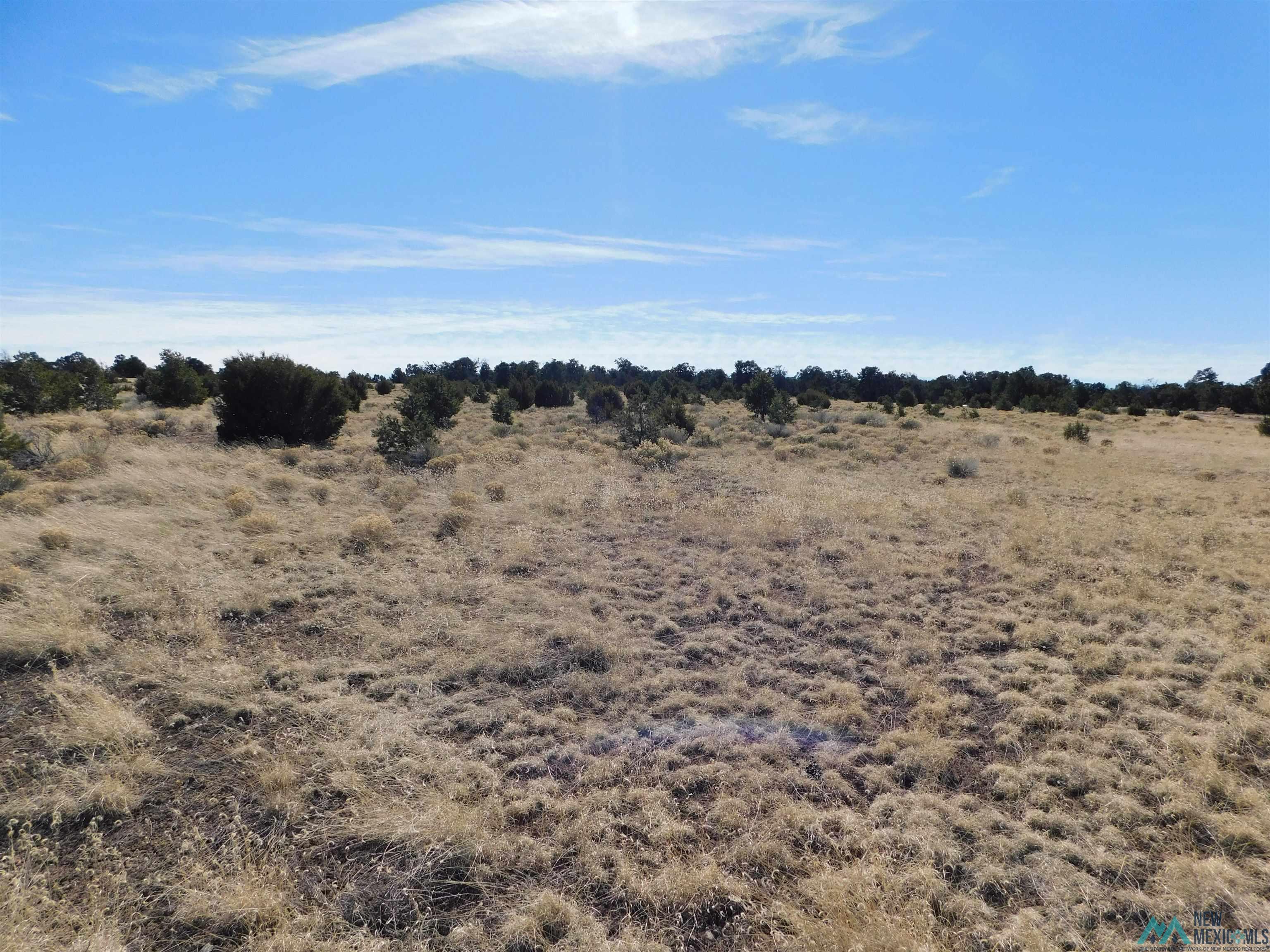 LOT 38A Agua Fria Loop, Quemado, Texas image 9