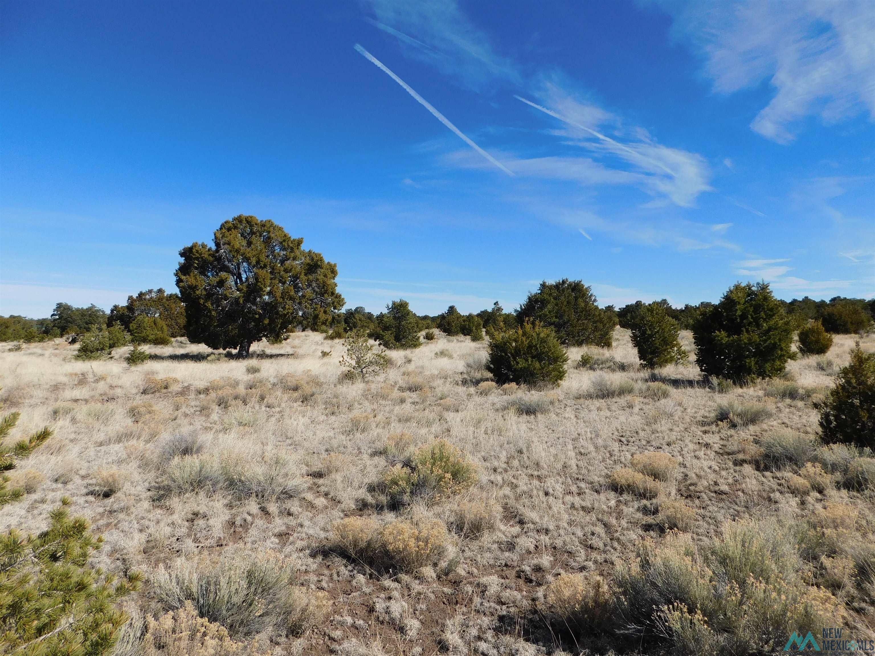 LOT 38A Agua Fria Loop, Quemado, Texas image 10