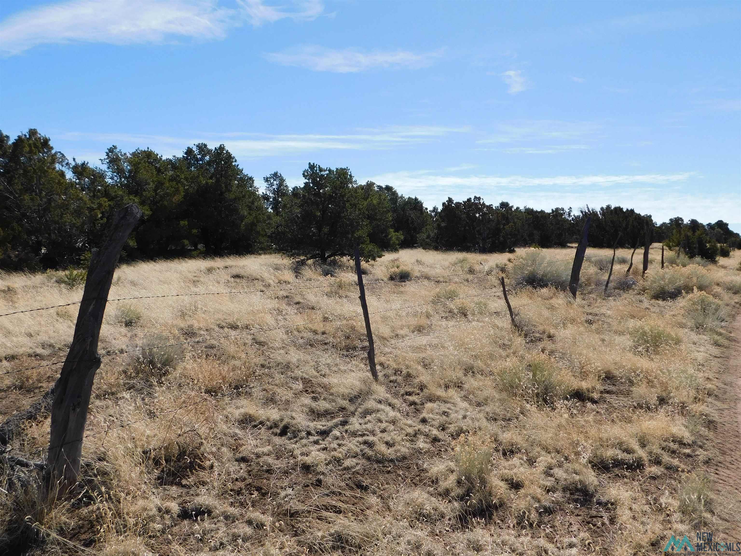 LOT 38A Agua Fria Loop, Quemado, Texas image 8