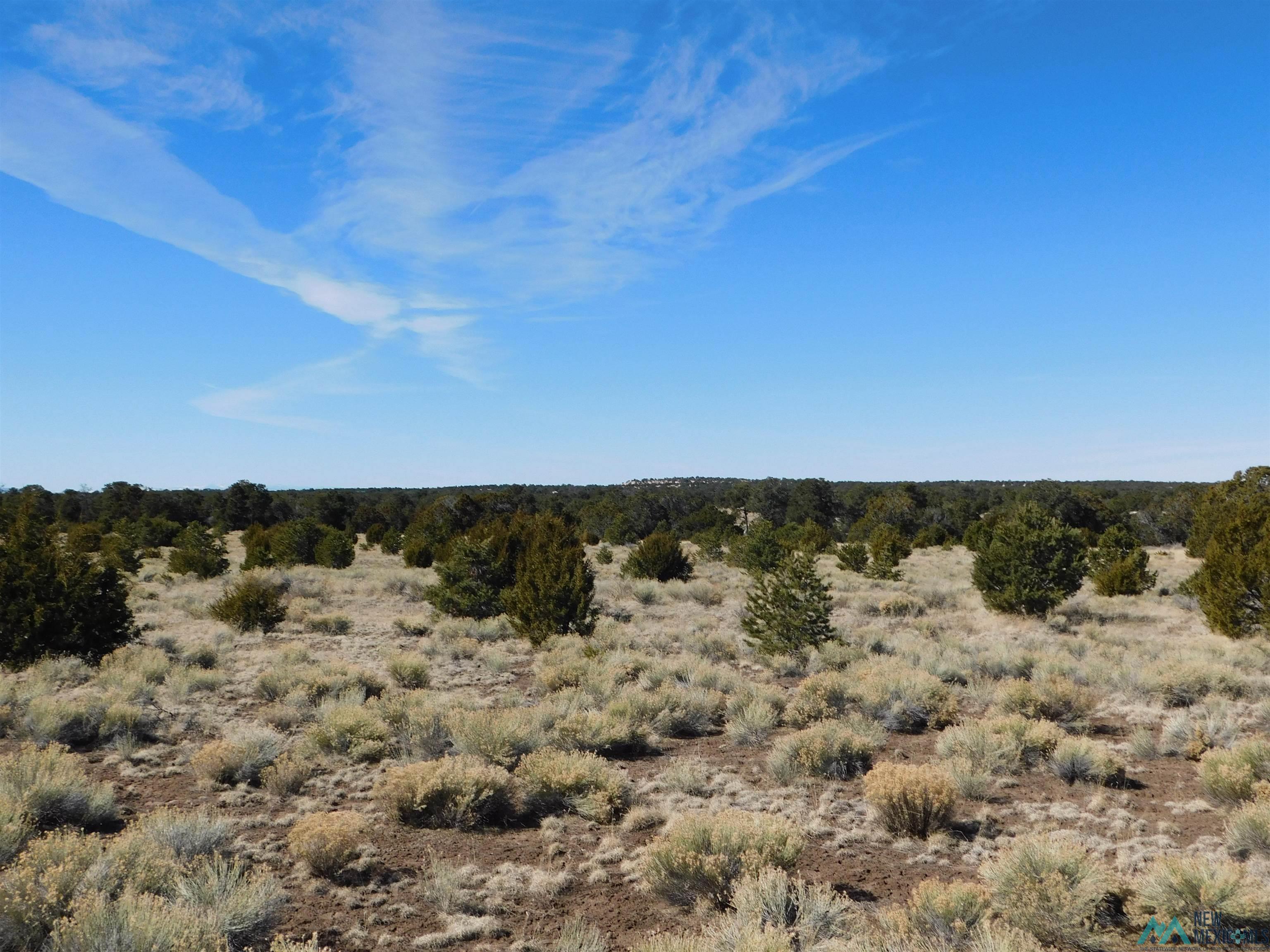 LOT 38A Agua Fria Loop, Quemado, Texas image 6