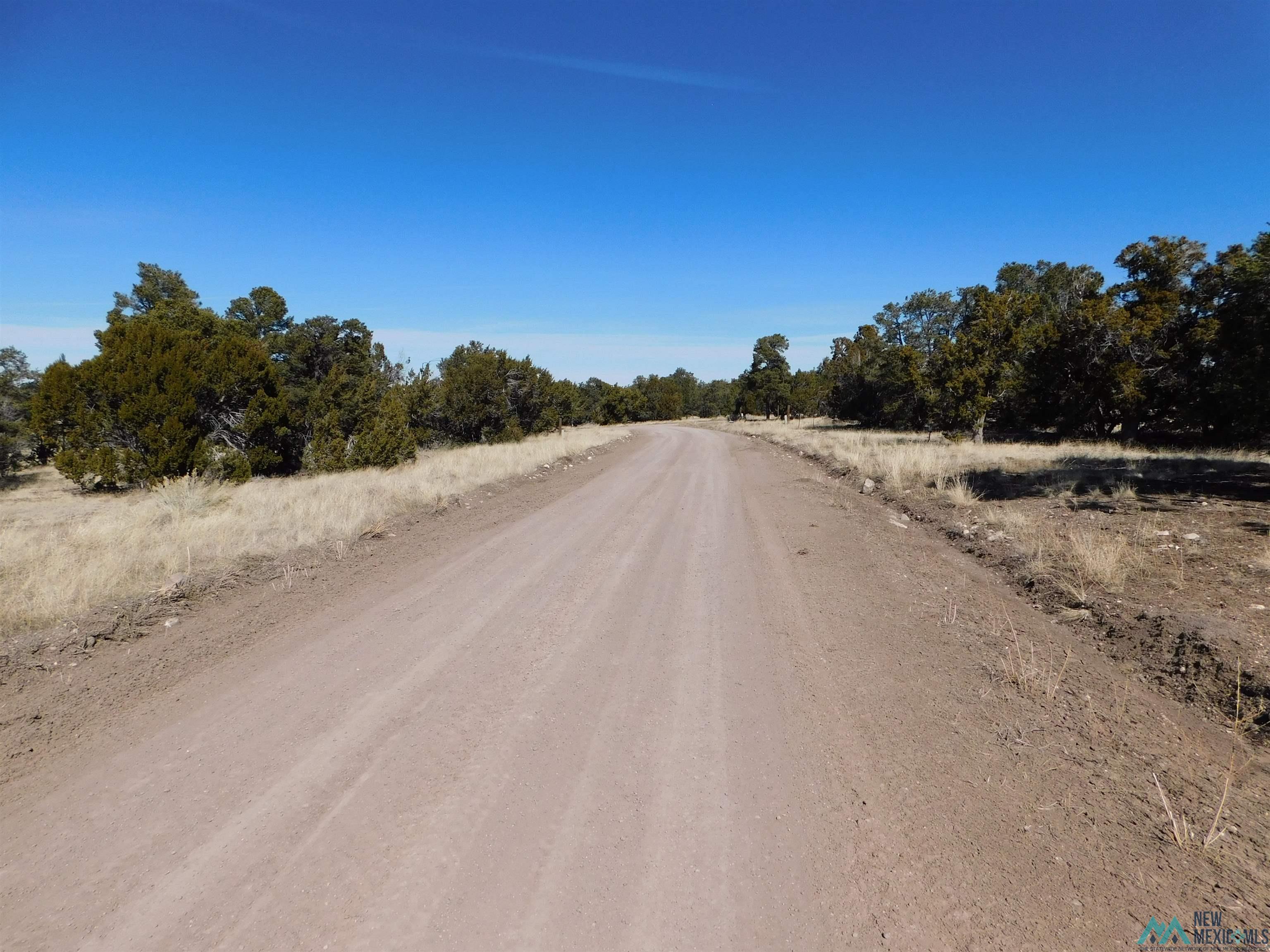 LOT 38A Agua Fria Loop, Quemado, Texas image 16