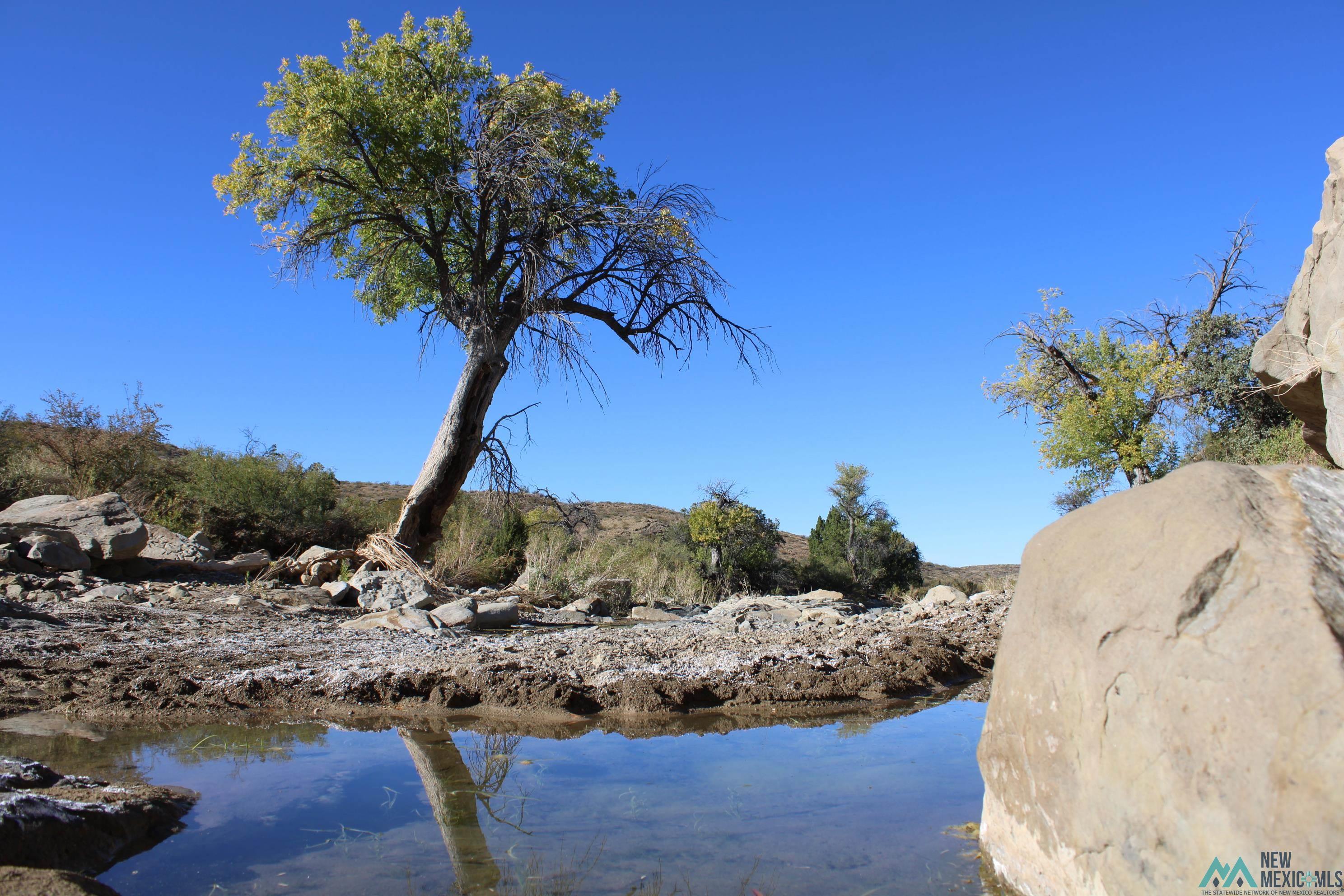 Mescal Springs Ranch Dr, Truth Or Consequences, Texas image 47