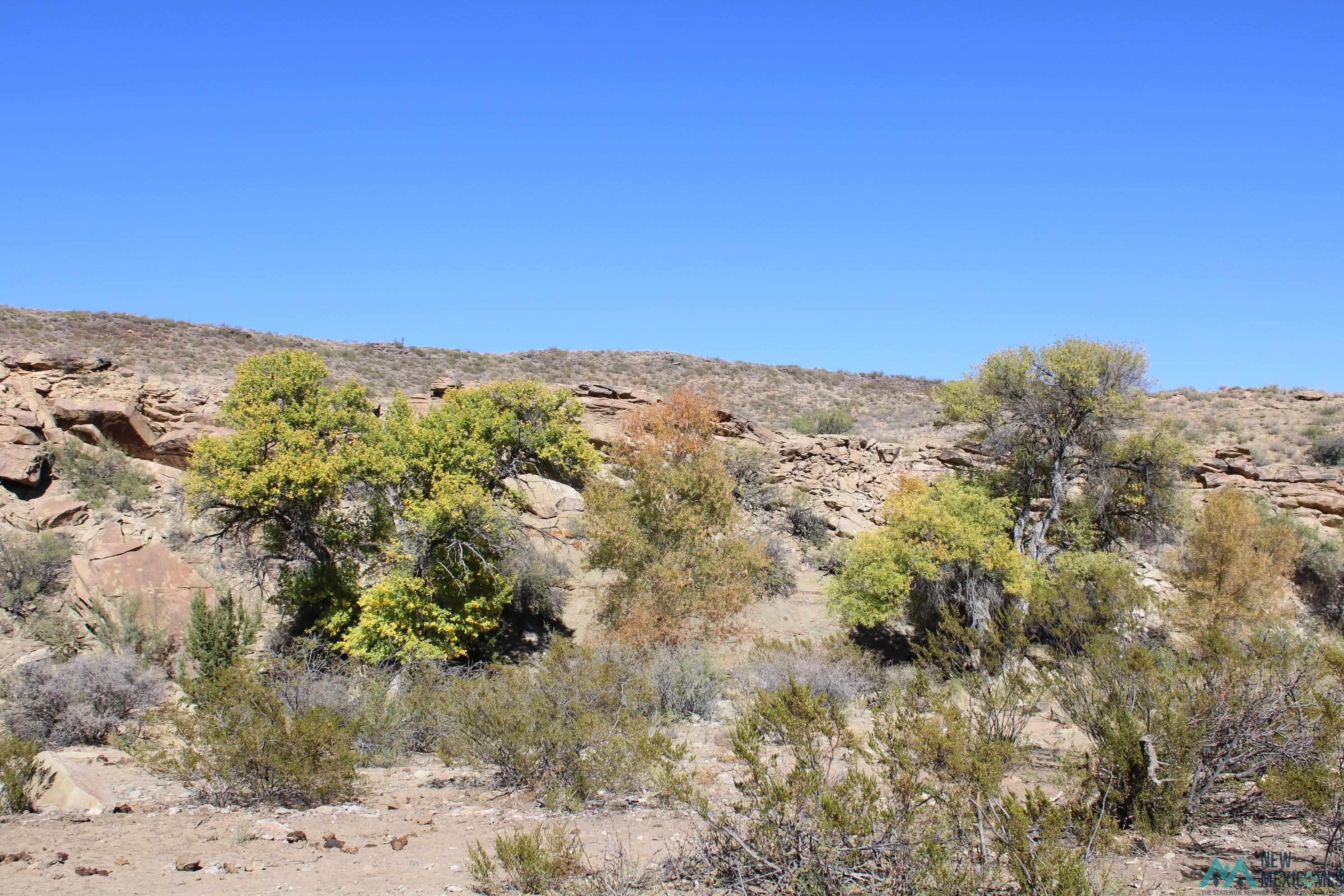 Mescal Springs Ranch Dr, Truth Or Consequences, Texas image 40