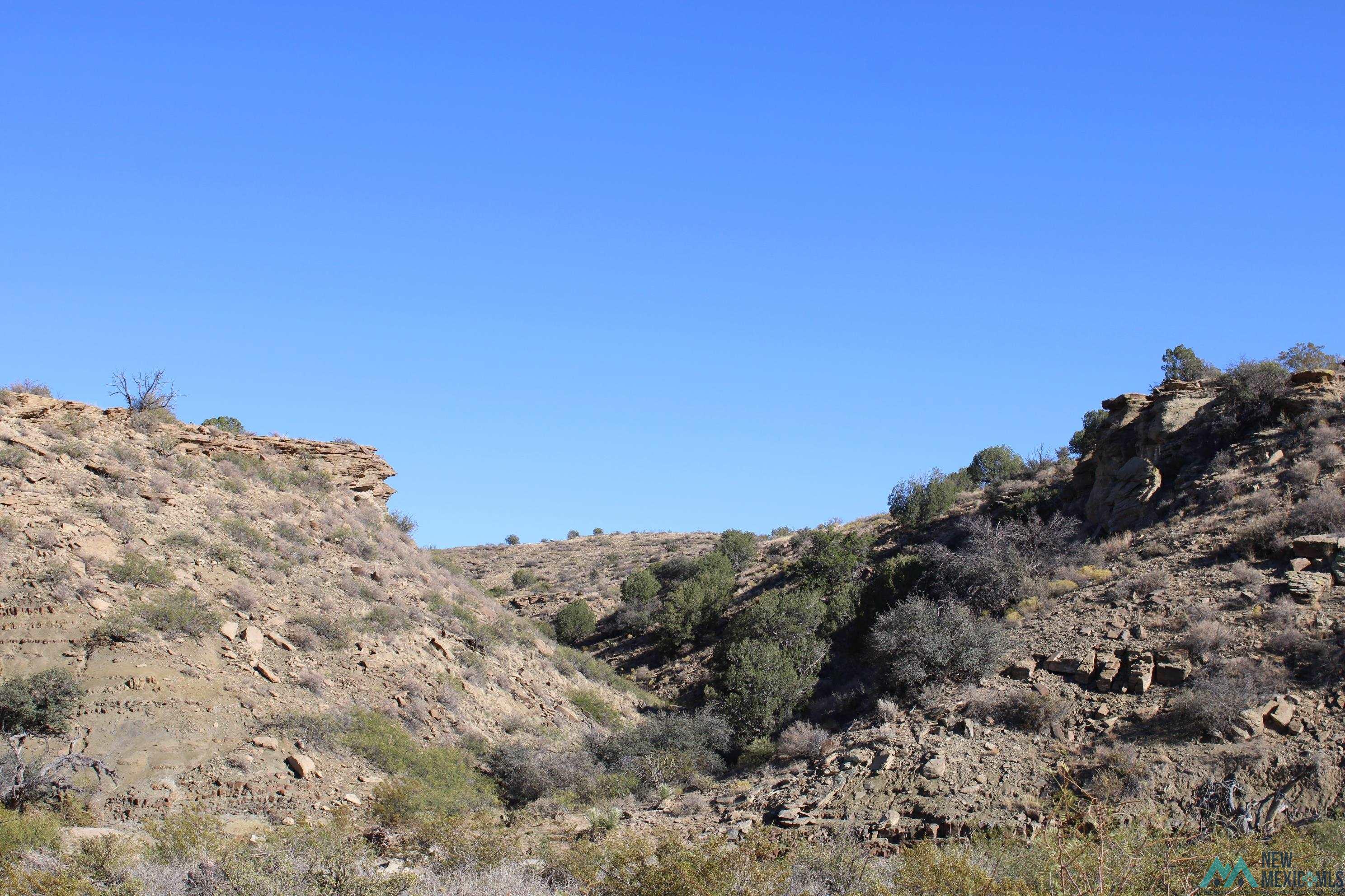 Mescal Springs Ranch Dr, Truth Or Consequences, Texas image 45