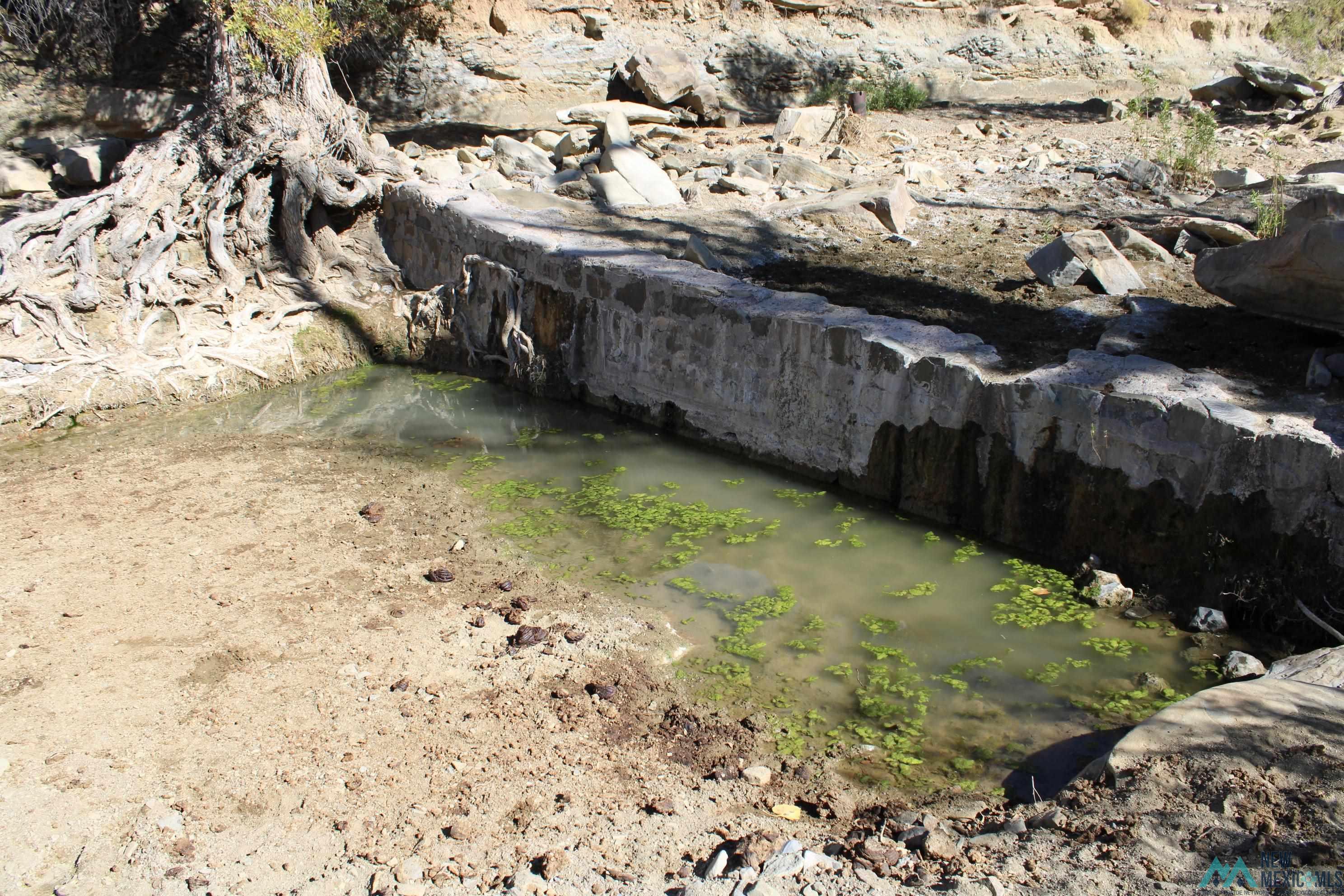 Mescal Springs Ranch Dr, Truth Or Consequences, Texas image 39