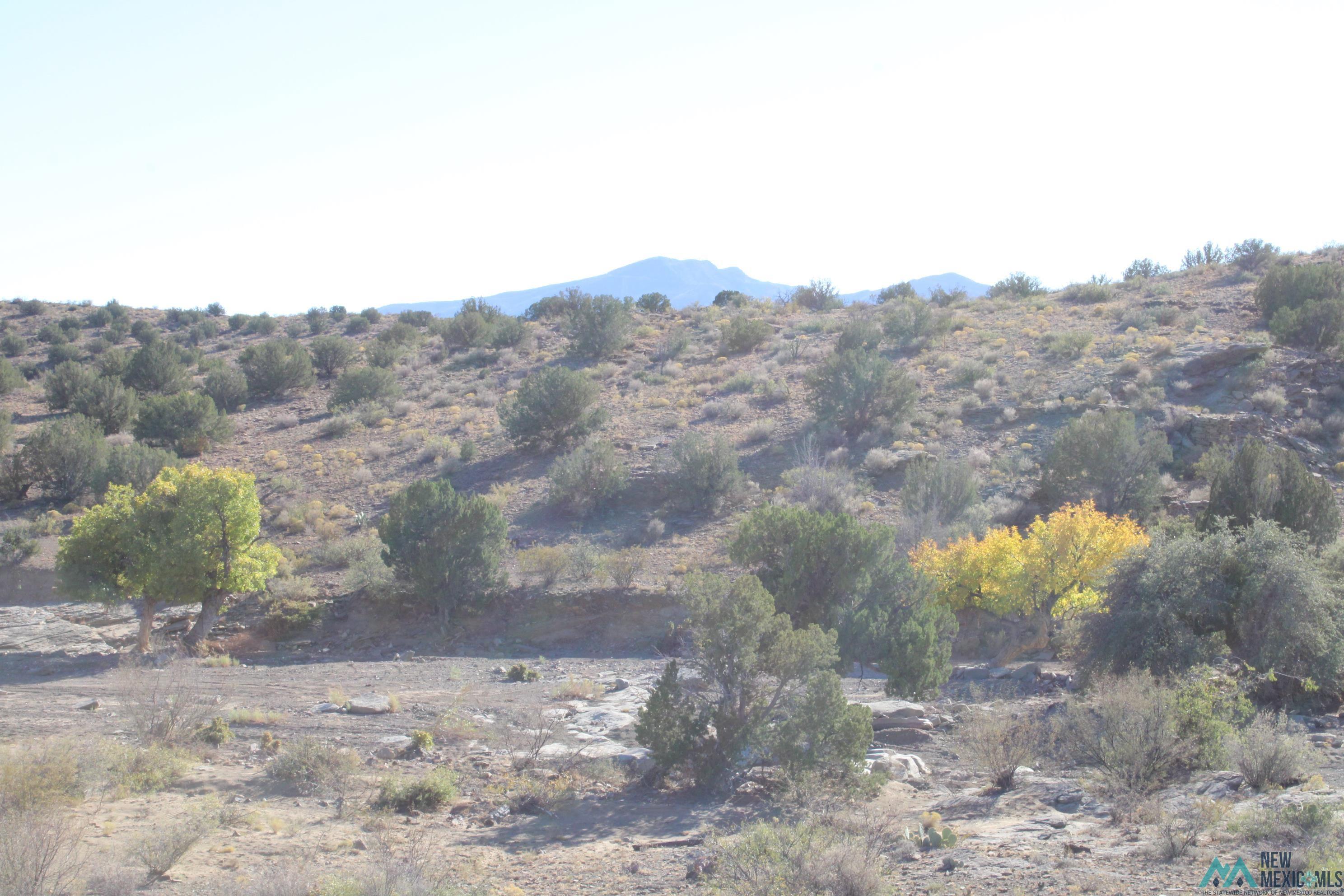 Mescal Springs Ranch Dr, Truth Or Consequences, Texas image 48