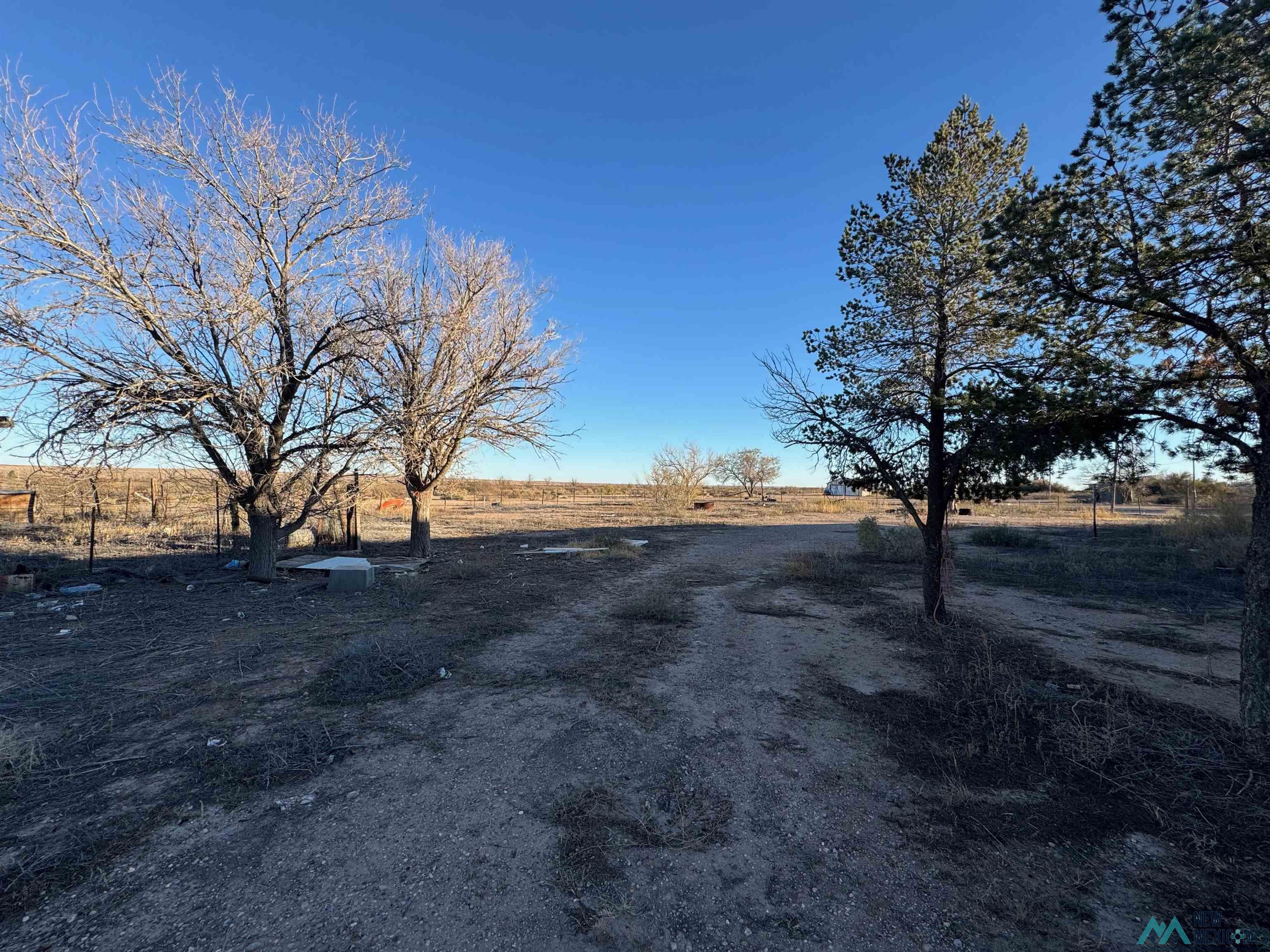 502 Tutelo Road, Dexter, New Mexico image 30