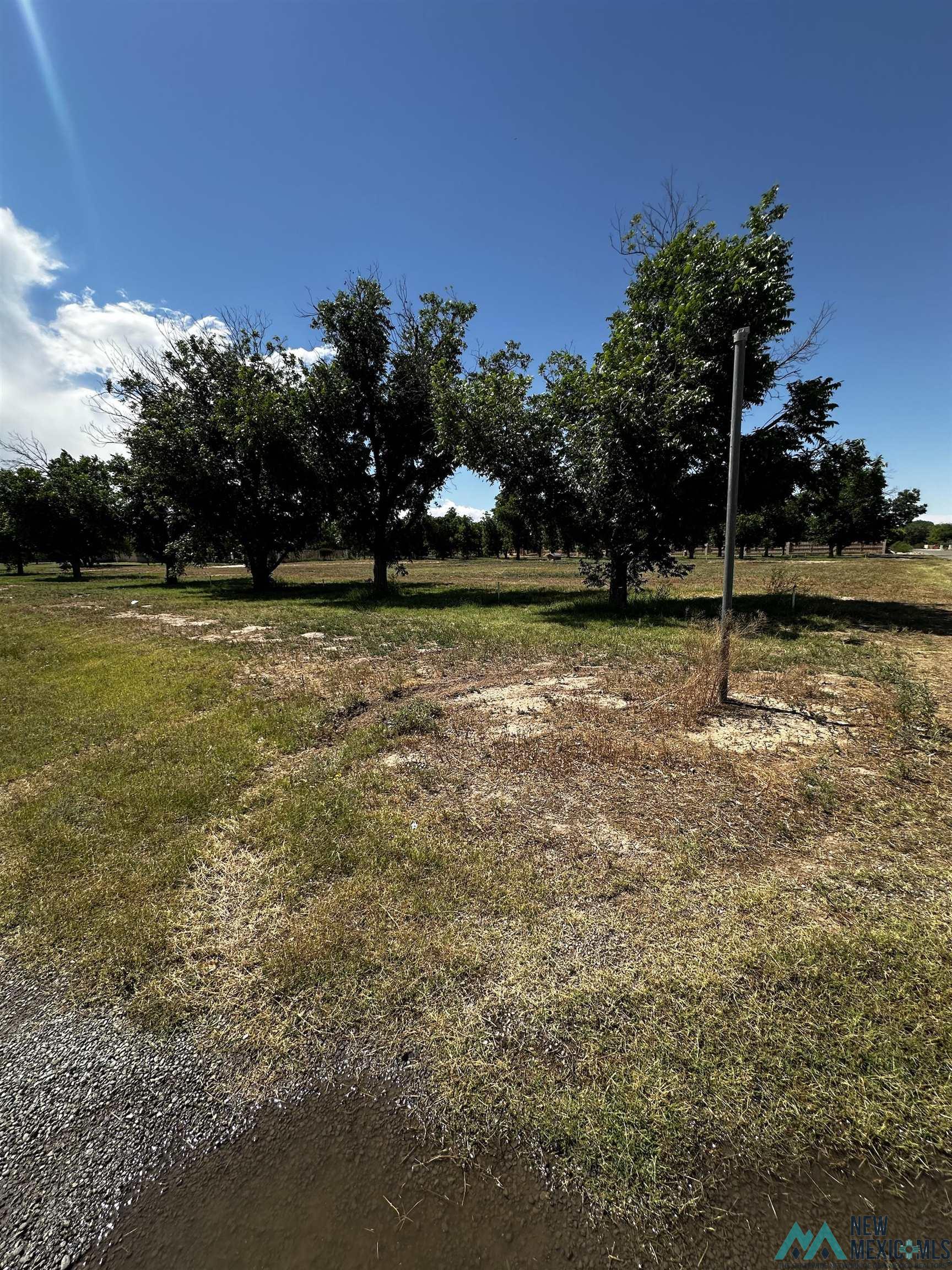 2201 Brandon Way, Roswell, Texas image 5
