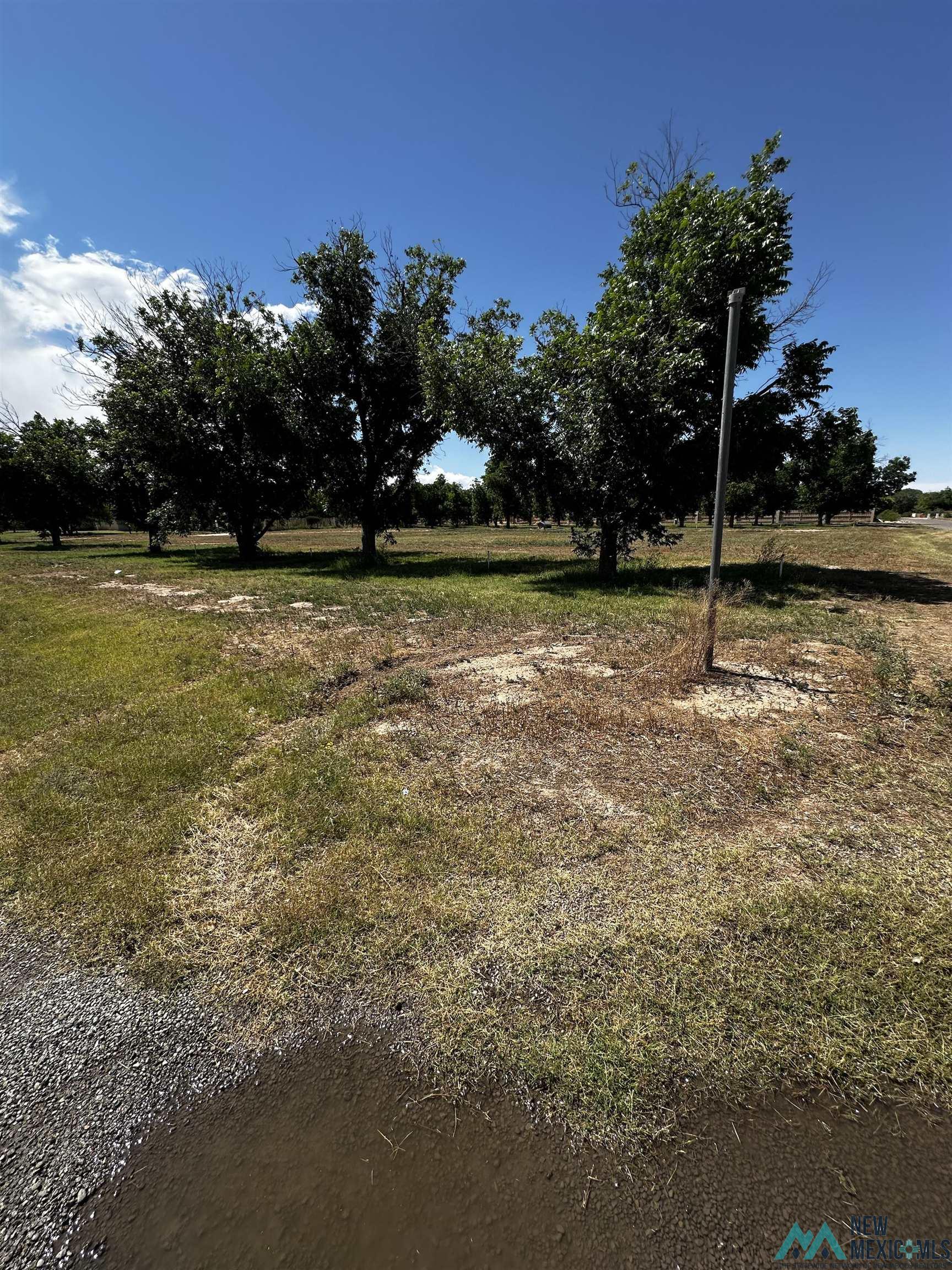 2201 Brandon Way, Roswell, Texas image 4