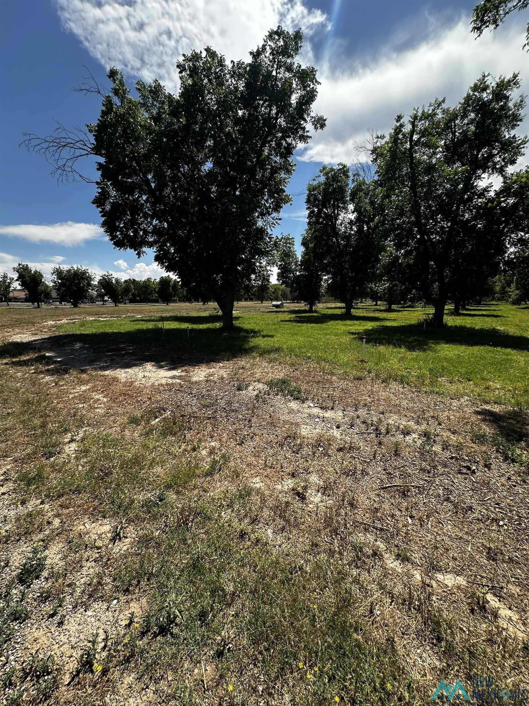2201 Brandon Way, Roswell, Texas image 2
