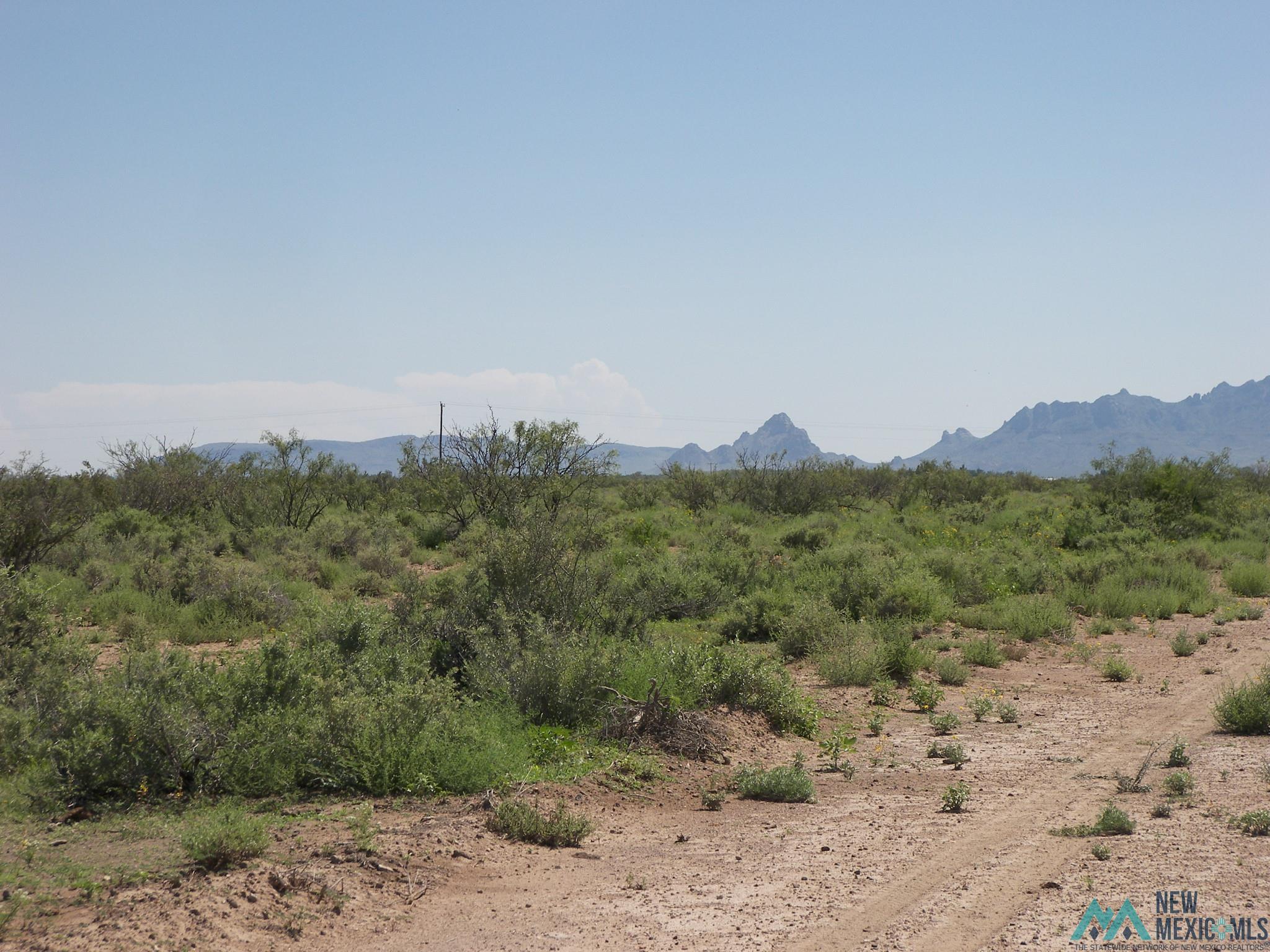 Camino Dos Rd Sw, Deming, Texas image 9