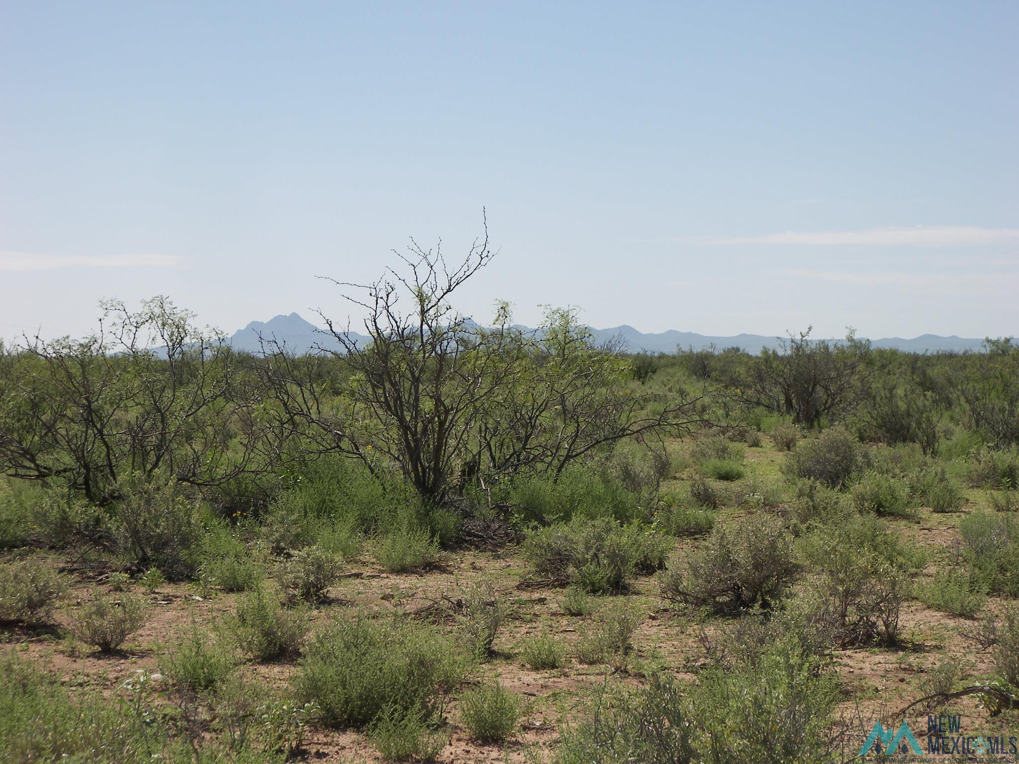 Camino Dos Rd Sw, Deming, Texas image 13