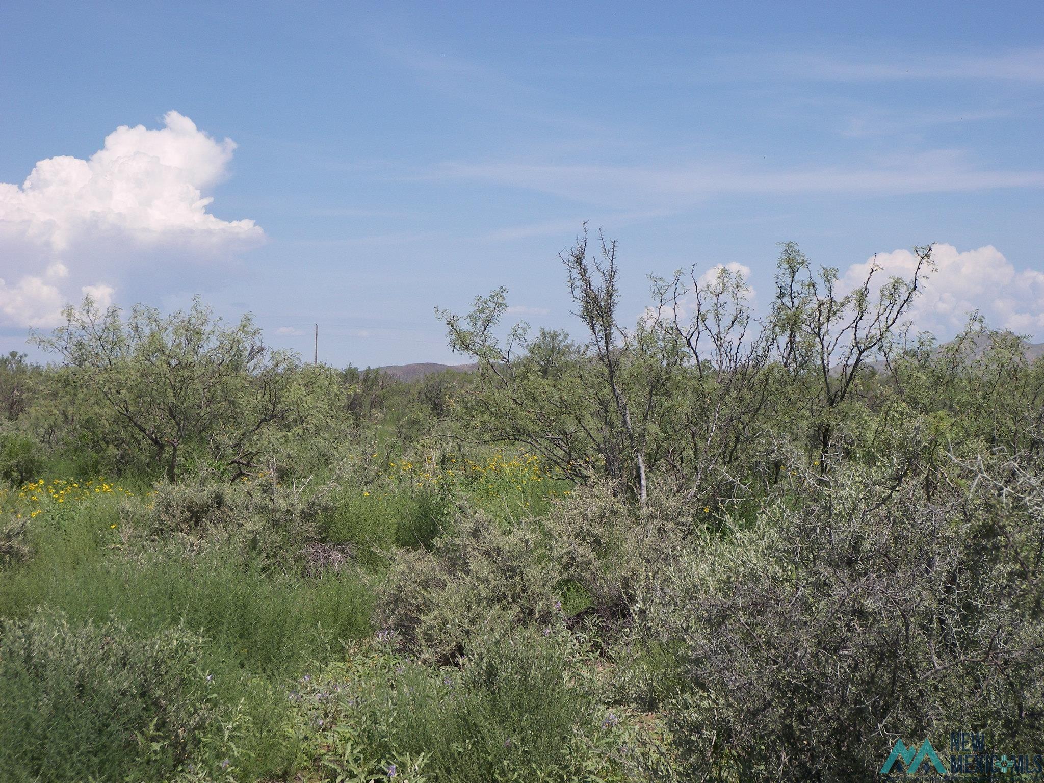 Camino Dos Rd Sw, Deming, Texas image 5