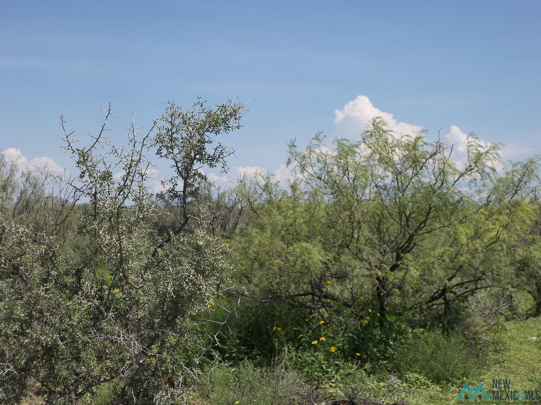 Camino Dos Rd Sw, Deming, Texas image 6