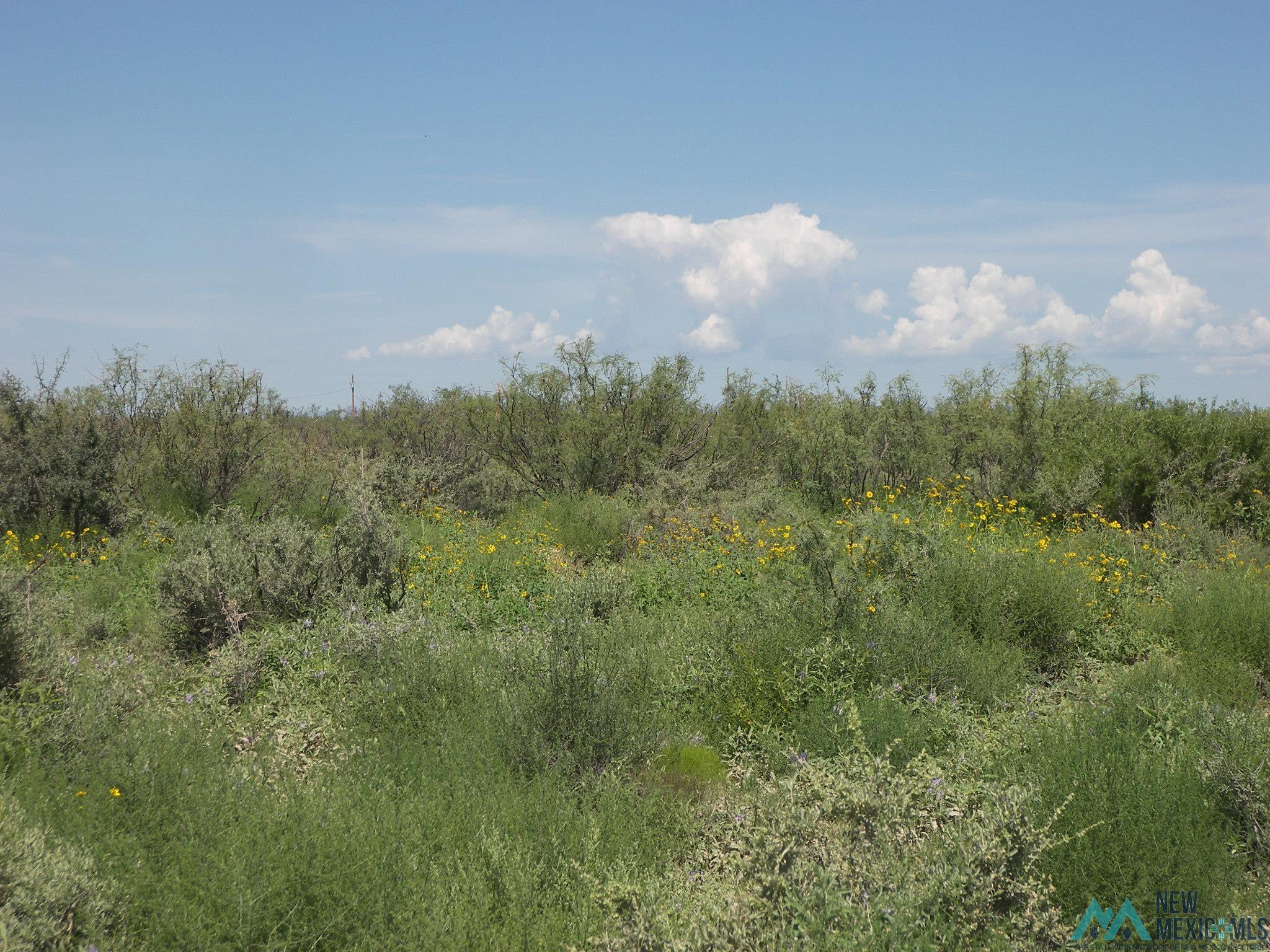 Camino Dos Rd Sw, Deming, Texas image 4