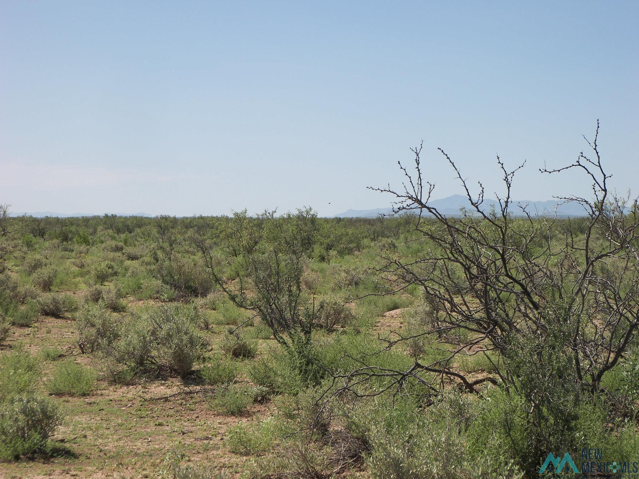 Camino Dos Rd Sw, Deming, Texas image 14