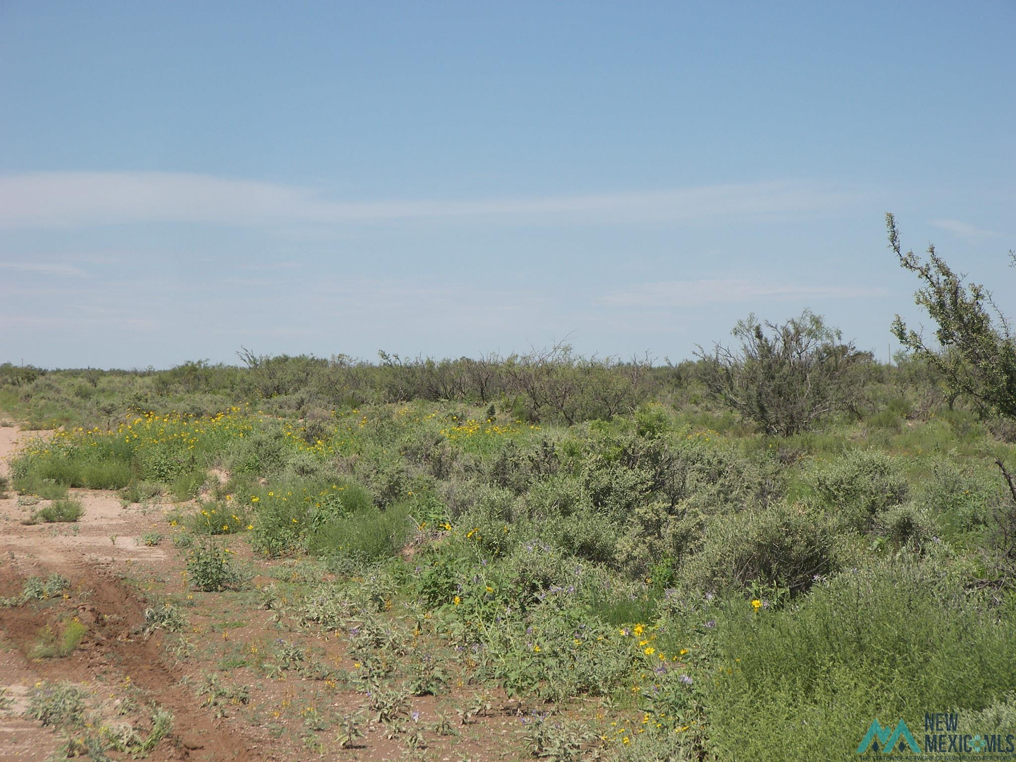 Camino Dos Rd Sw, Deming, Texas image 3