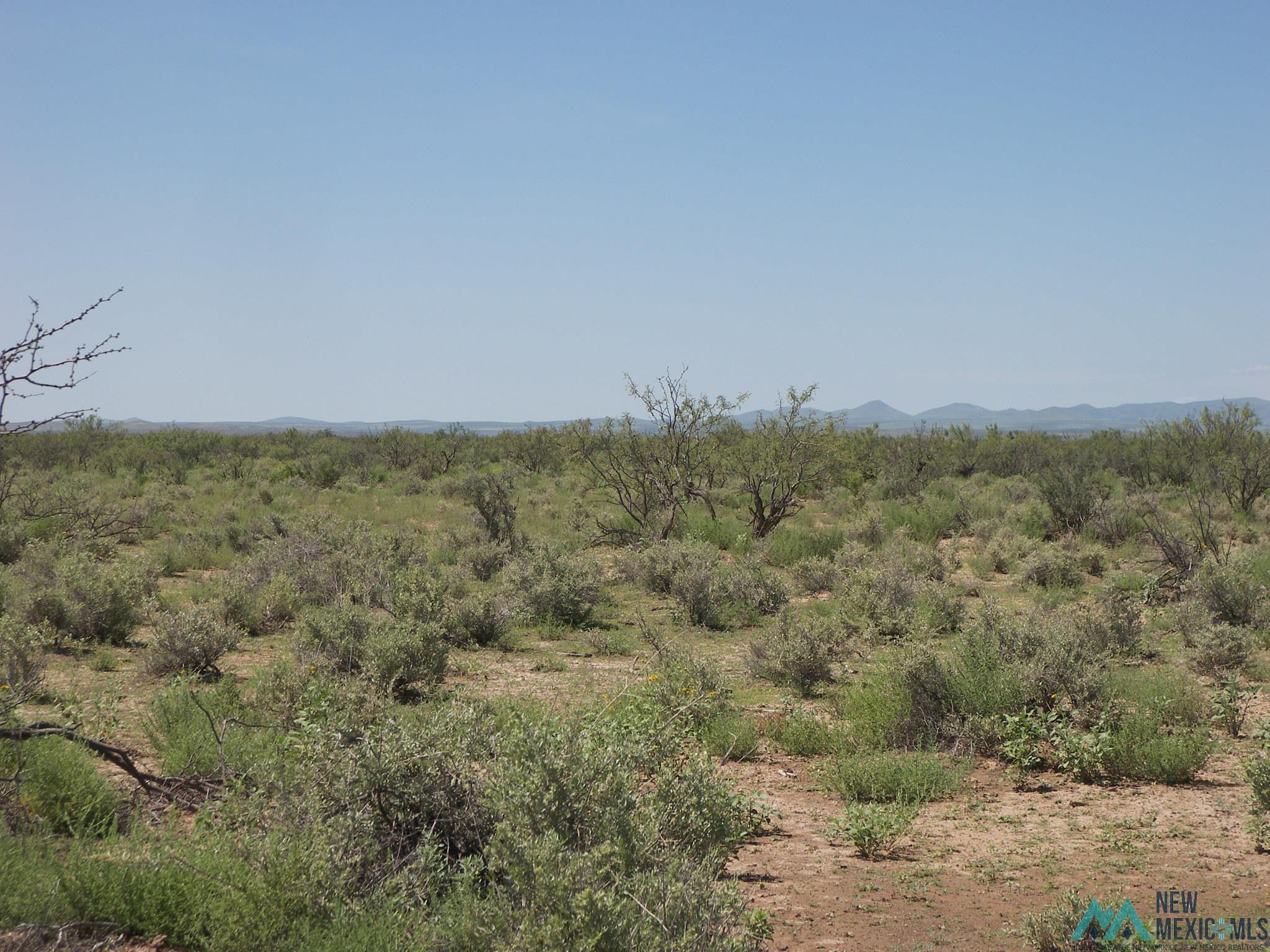 Camino Dos Rd Sw, Deming, Texas image 15