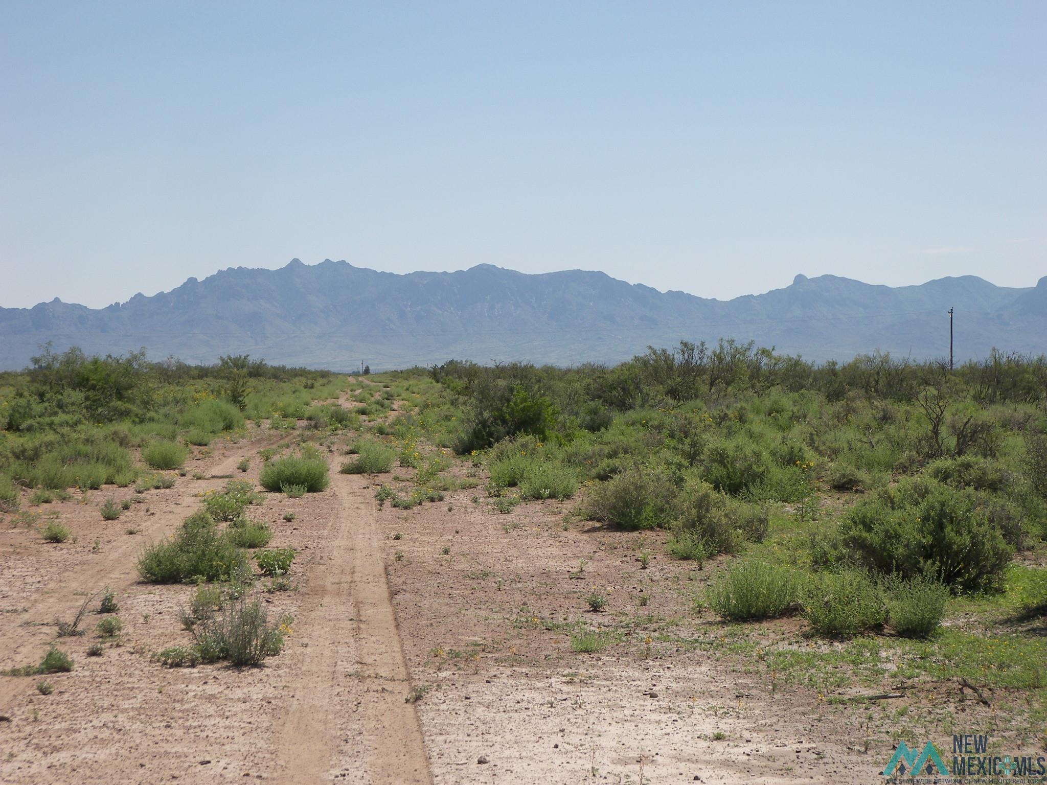 Camino Dos Rd Sw, Deming, Texas image 10