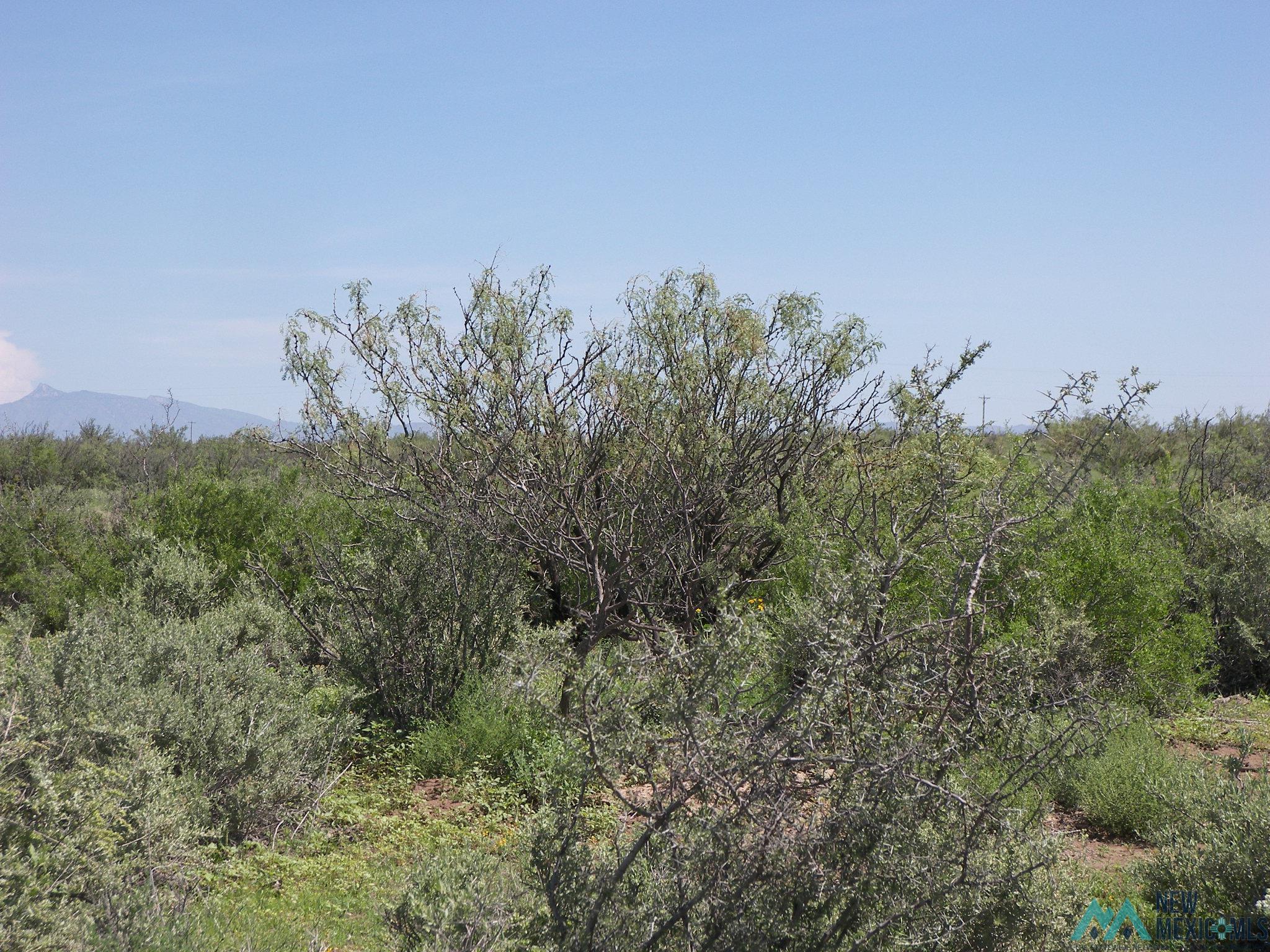 Camino Dos Rd Sw, Deming, Texas image 7