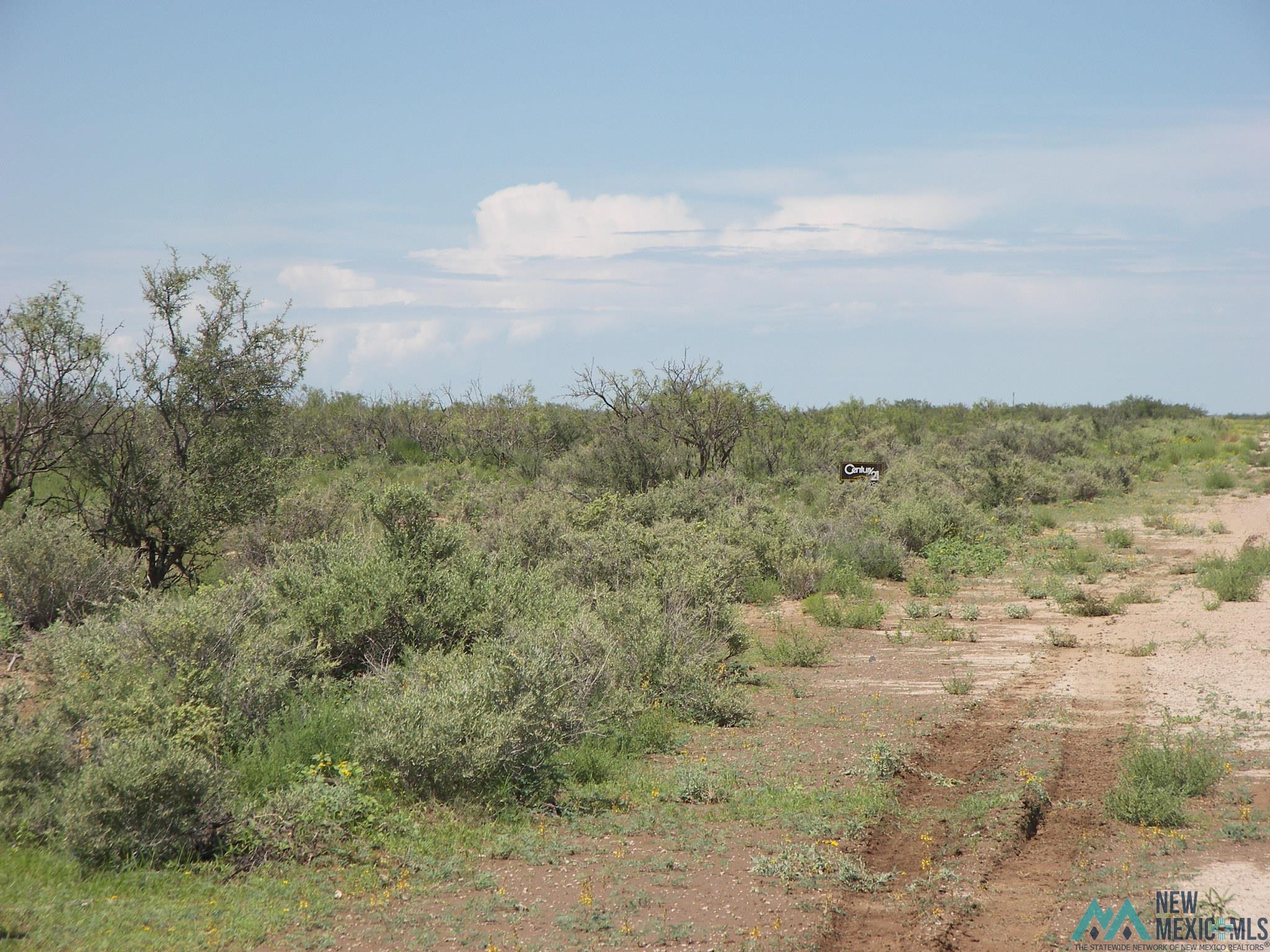 Camino Dos Rd Sw, Deming, Texas image 1