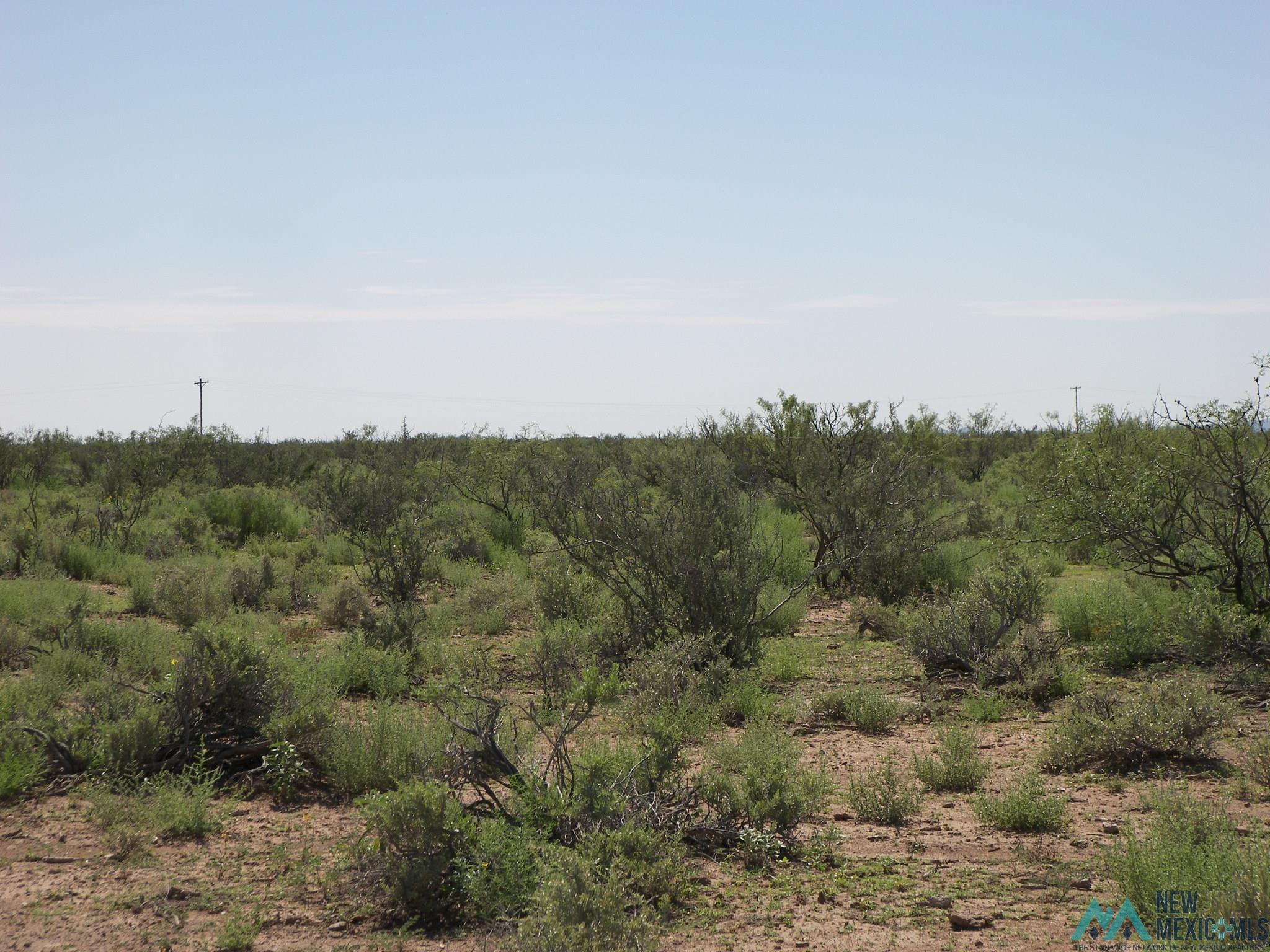 Camino Dos Rd Sw, Deming, Texas image 12