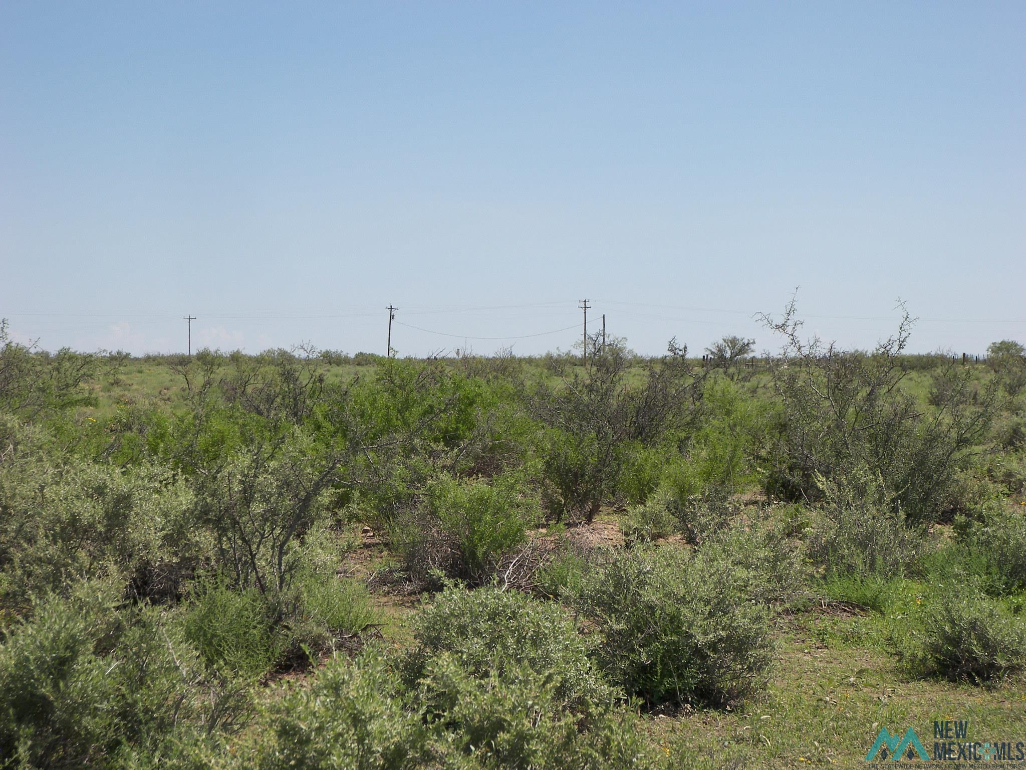 Camino Dos Rd Sw, Deming, Texas image 8