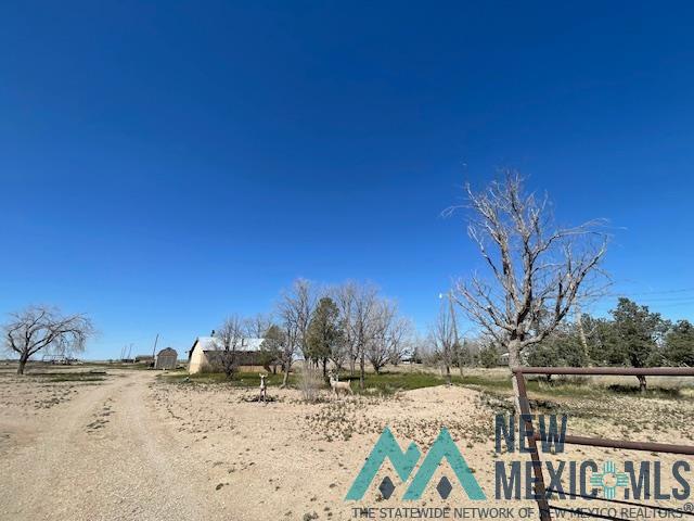 42 Lansing Road, Dexter, Texas image 21