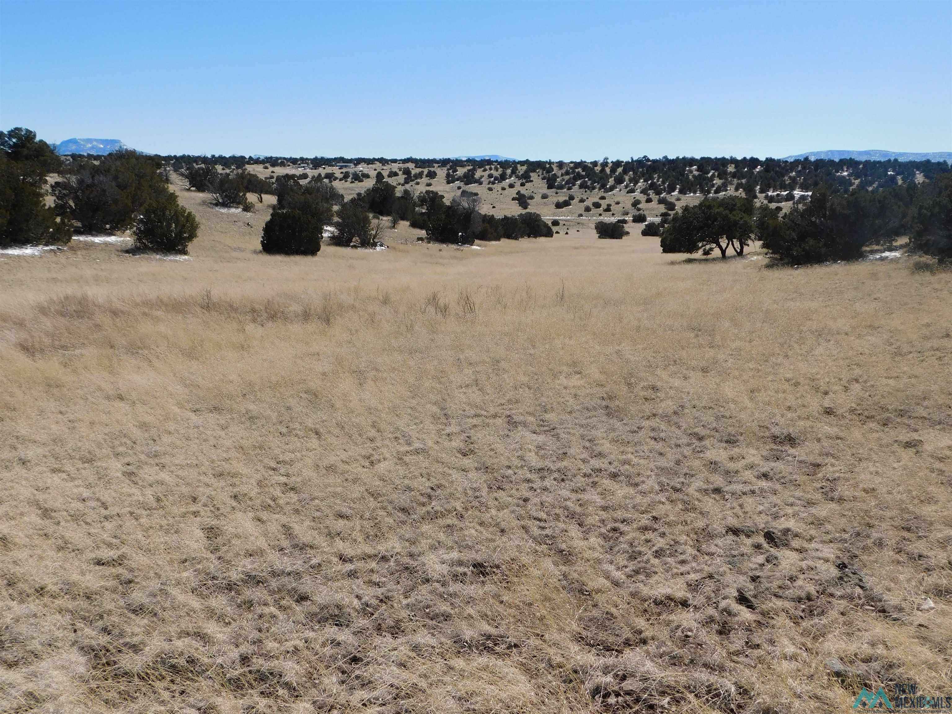 69 Bronco Blvd, Quemado, New Mexico image 5