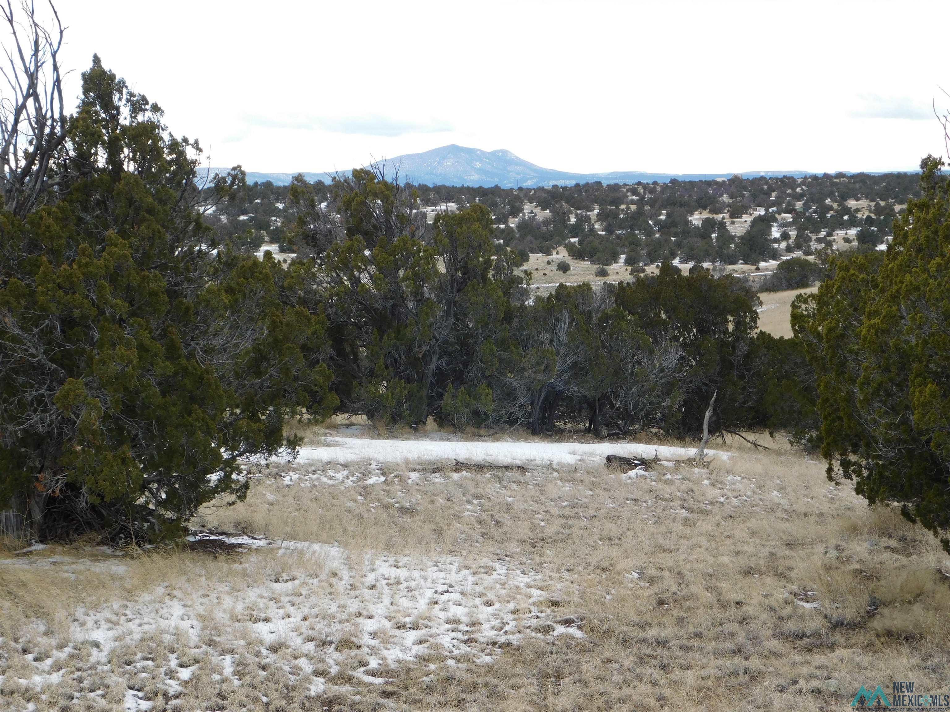 69 Bronco Blvd, Quemado, New Mexico image 7