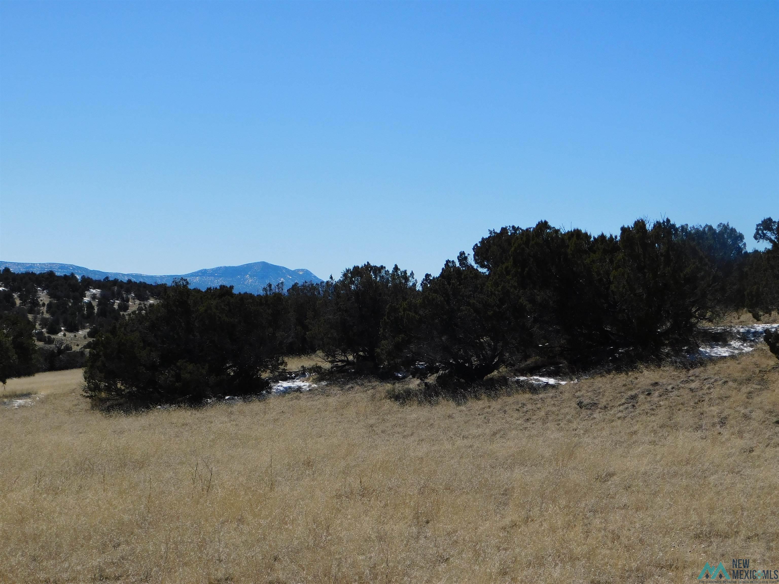 69 Bronco Blvd, Quemado, New Mexico image 16