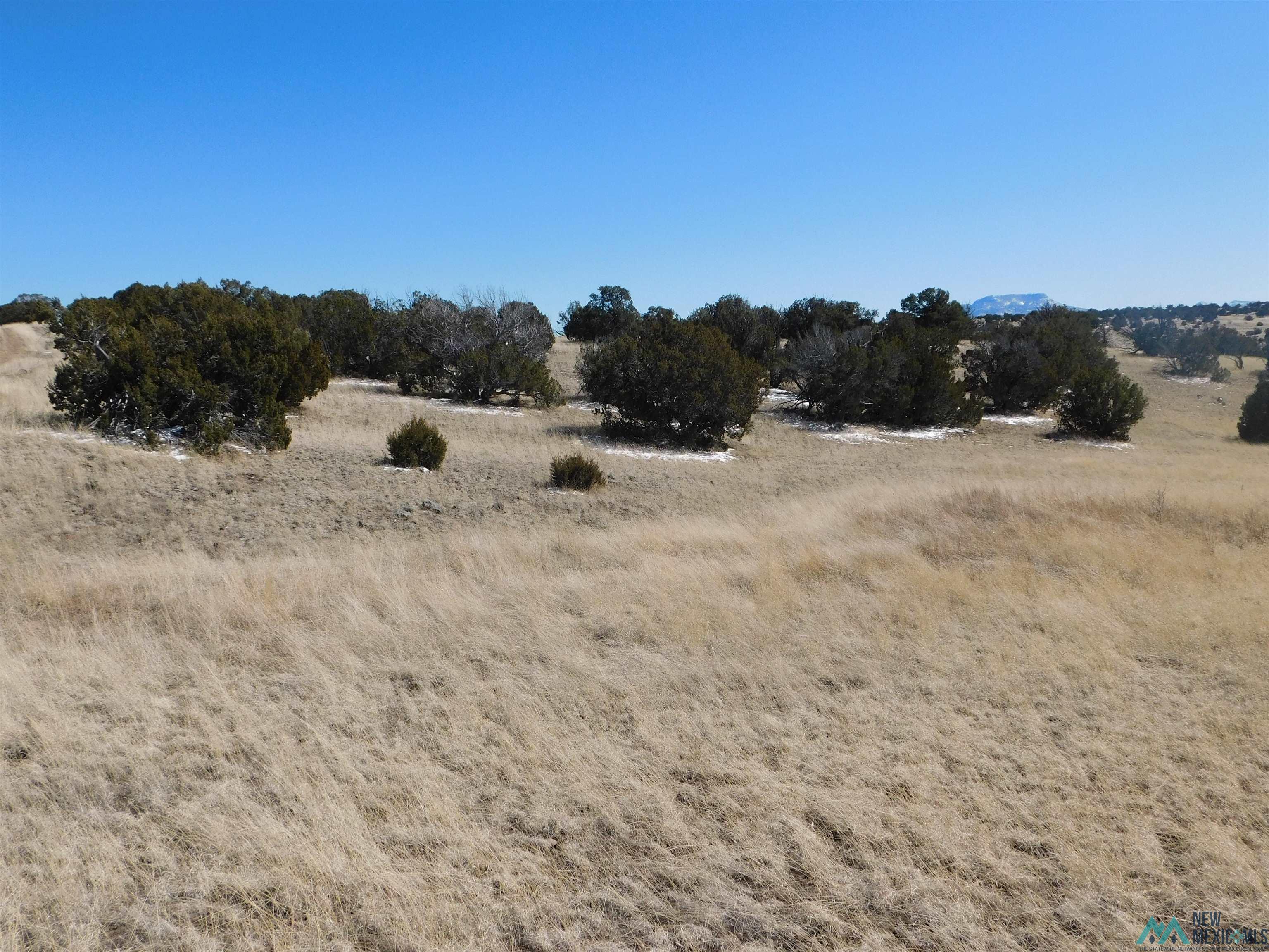 69 Bronco Blvd, Quemado, New Mexico image 3