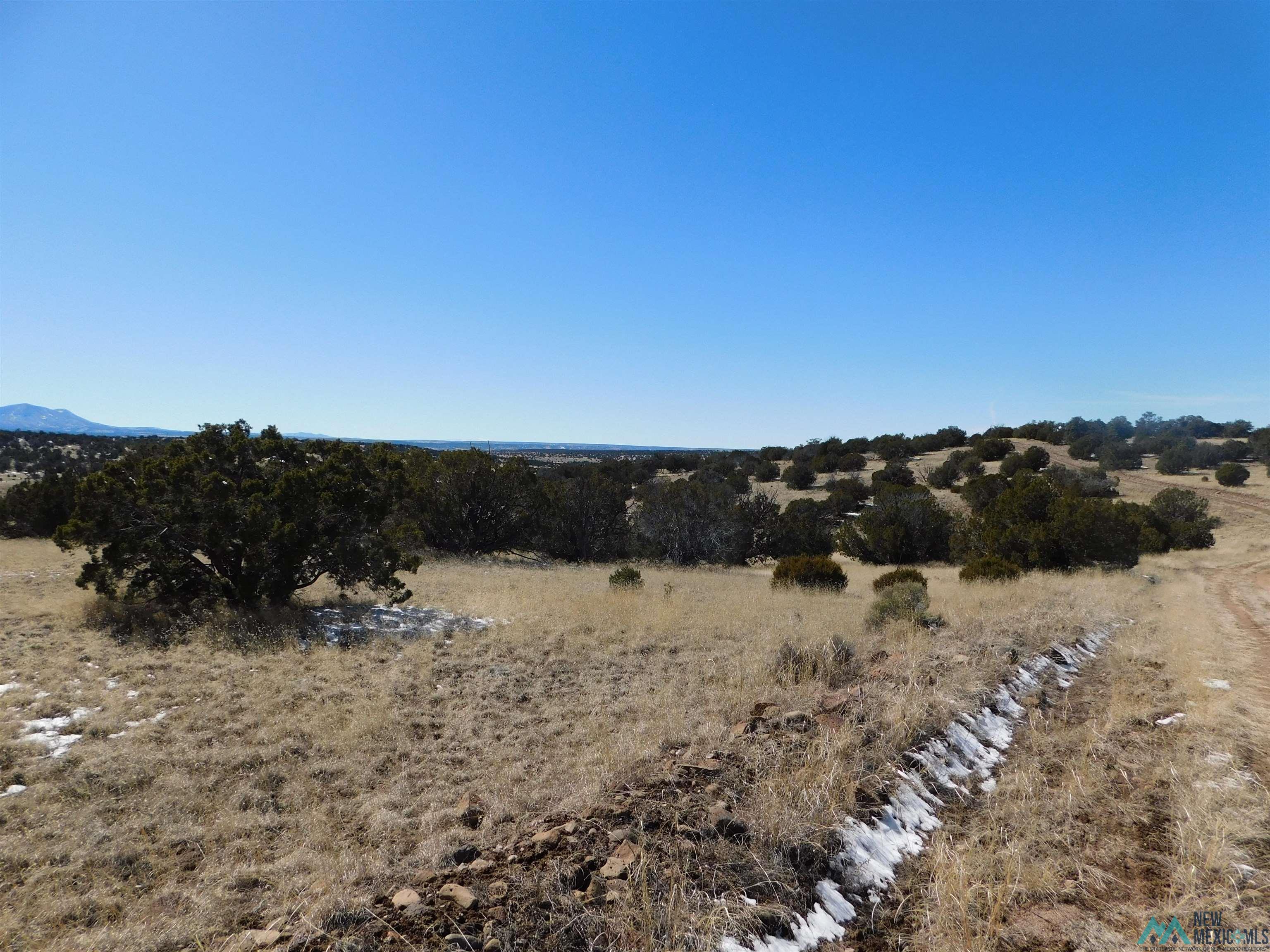 69 Bronco Blvd, Quemado, New Mexico image 9