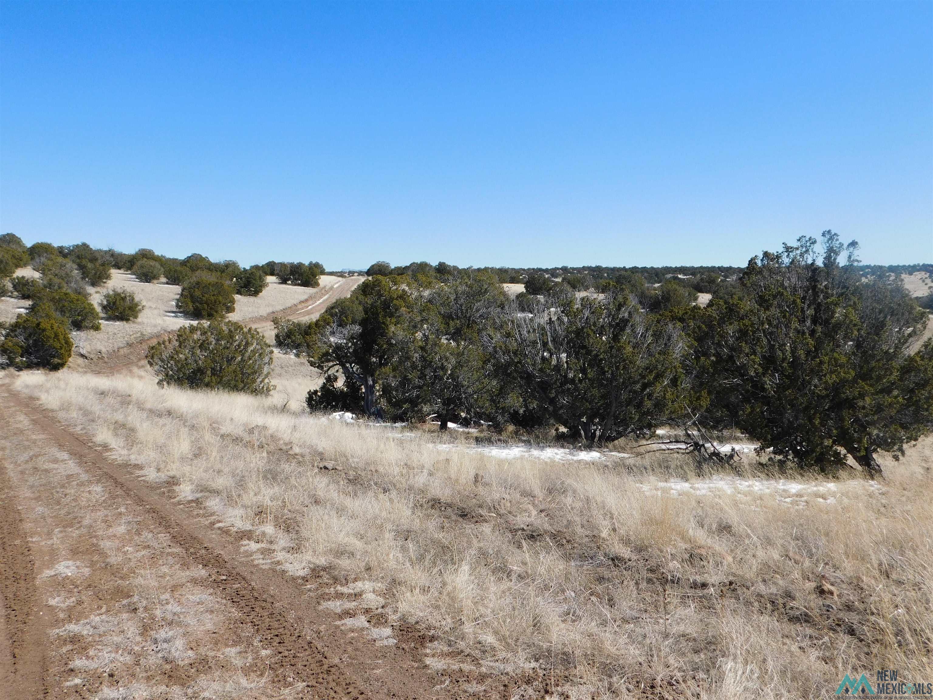 69 Bronco Blvd, Quemado, New Mexico image 4